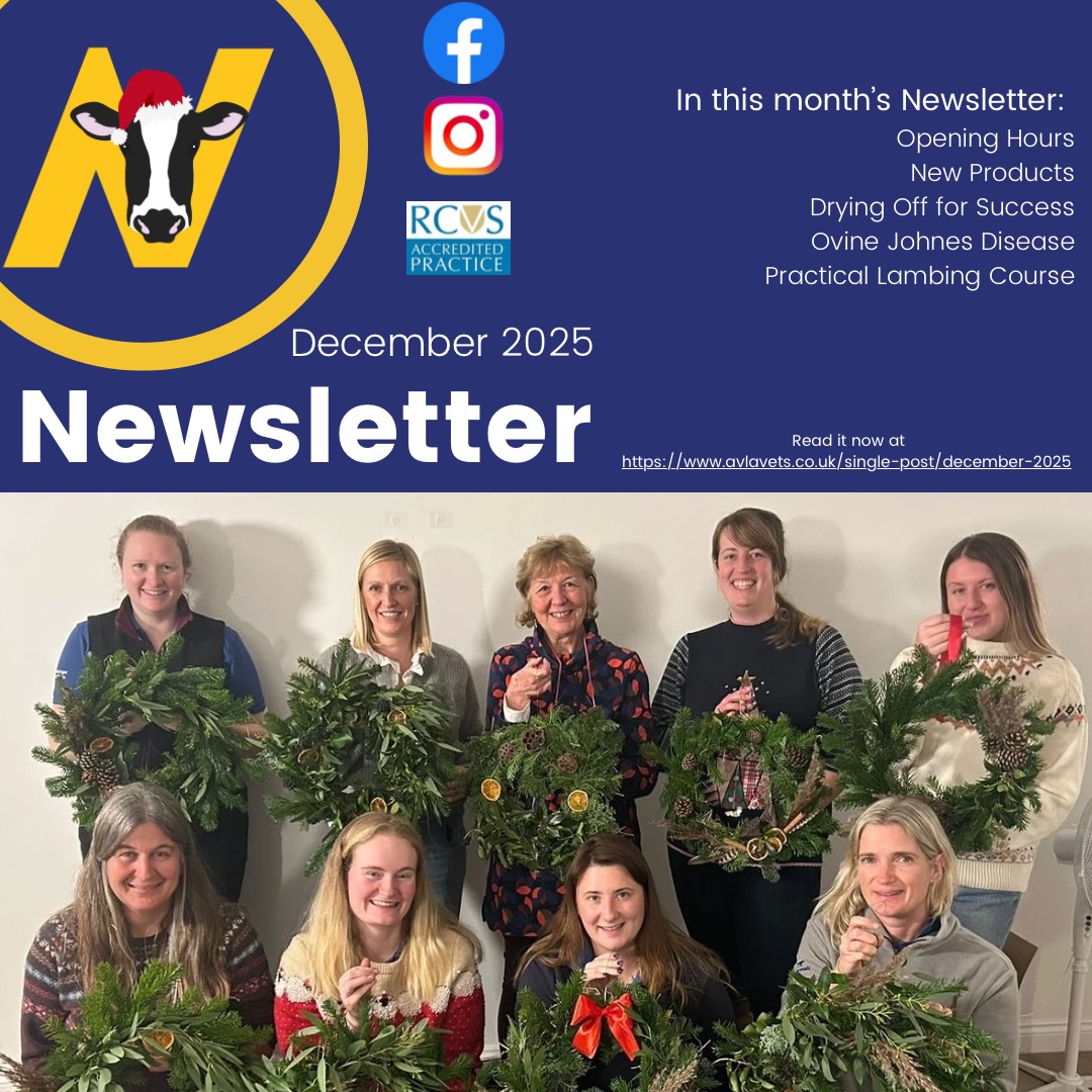 Our latest Newsletter is out now under News and Events on our website, here we share a small summary of our recent meetings as well as some interesting new products we have to offer! 📬