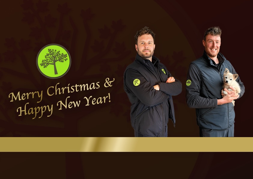 🎄 Warm Season’s Greetings from all of us at M.J.B Group 🎄
As the year comes to a close, we would like to sincerely thank all of our valued customers for their continued support throughout 2025. It has been a busy and rewarding year filled with growth, hard work, and new opportunities — and none of it would have been possible without you.
We truly appreciate your trust in M.J.B Group and look forward to working with you again in the year ahead.
🎄 Merry Christmas & a Happy New Year 🎄
Max, Chris & Bex
M.J.B Group
⸻
🌱 Looking Ahead to 2026 🌱
While the festive season is here, our 2026 diary is already filling up fast, particularly for spring — our busiest time of year. We strongly recommend booking early to secure your preferred dates 📅
If you’d like a new quote, or if you already have a quote and would like to book in, please don’t hesitate to get in touch 📞📧
⸻
🎅 Christmas Opening Hours 🎅
Please note that we will be closed from 24th December until 5th January 2026.
During this time, our office will be operating on limited hours, so responses may be slightly delayed.
We will be back to full operations on 5th January 2026, refreshed and ready for the year ahead 💪🌳
⸻
#SeasonsGreetings #MerryChristmas #HappyNewYear #MJBGroup #GardenMaintenance GroundsMaintenance SpringBookings 2026Bookings ThankYou ProfessionalServices