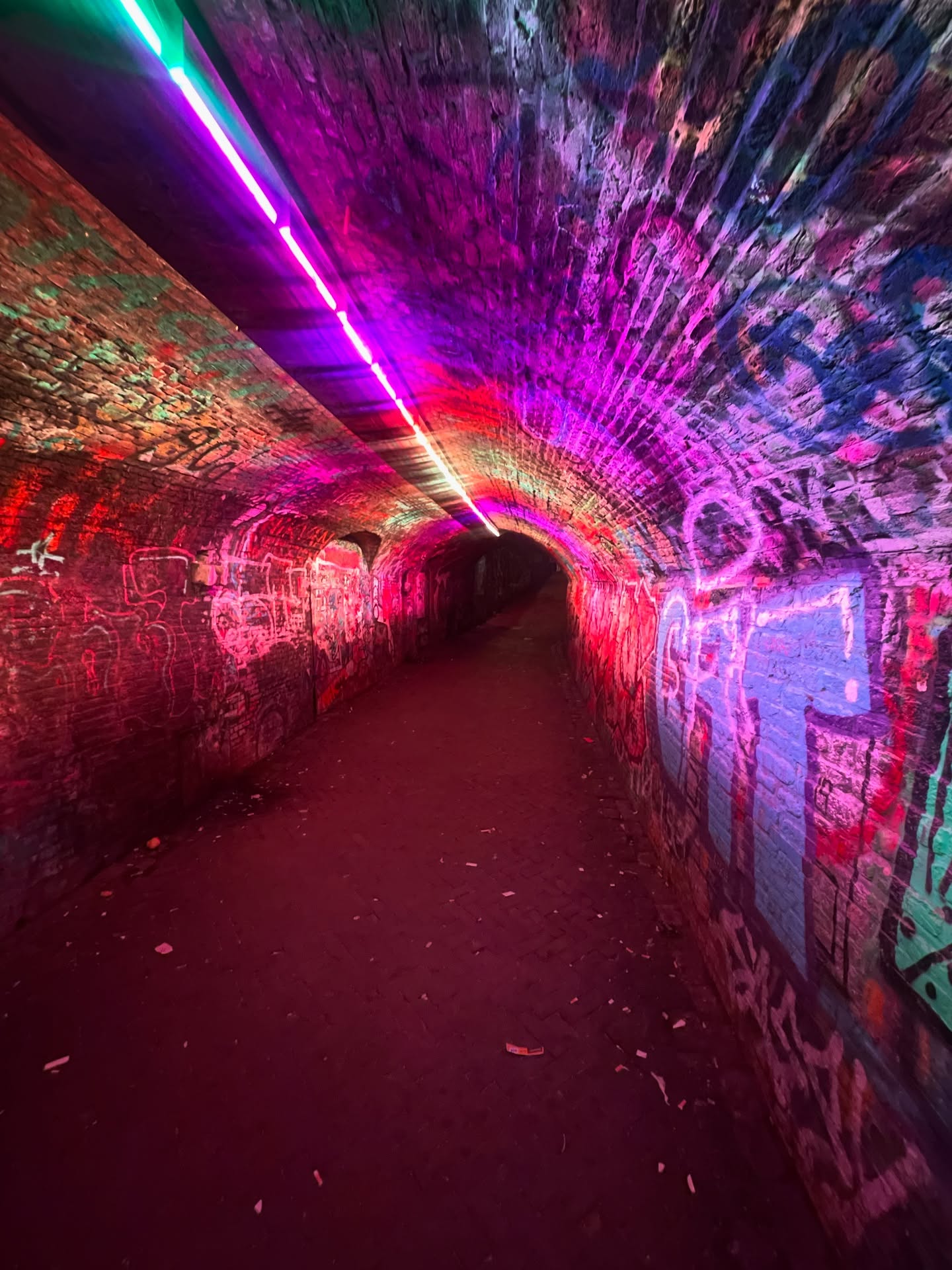 In the end, we all pass through the same gate.
Until we get there, life can be a party — if we dare to decorate it together. Make it colourful.
Let’s do this. 🎨
~
~
~
#colorful #lifesaparty #maarjemoetzelfdeslingersophangen #letsdothis #makeithappen