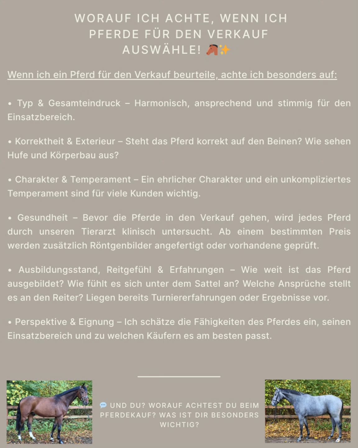 #pferdeverkauf #pferdekauf #verkaufspferd #verkaufspferde
#pferdeauswahl #pferdecheck #verkaufspferde🇩🇪 #pferdemarkt
#jungpferd #pferdeausbildung #pferdecharakter #pferdeeignung
#reitgefühl #horseforsale #horsesale
#warmblut #dressurpferd #springpferd #qualityhorse
#horsetips #horsetraining #maresilange