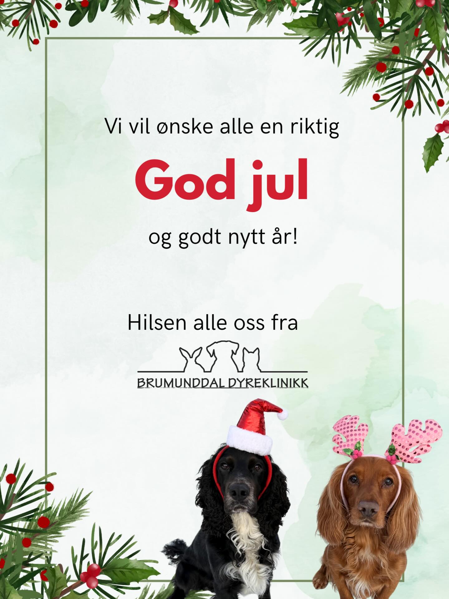 God jul fra oss til dere, både to- og firbeinte 🐾
Takk for besøkene, tilliten og alle de logrende haler gjennom året som har gått ❤️
