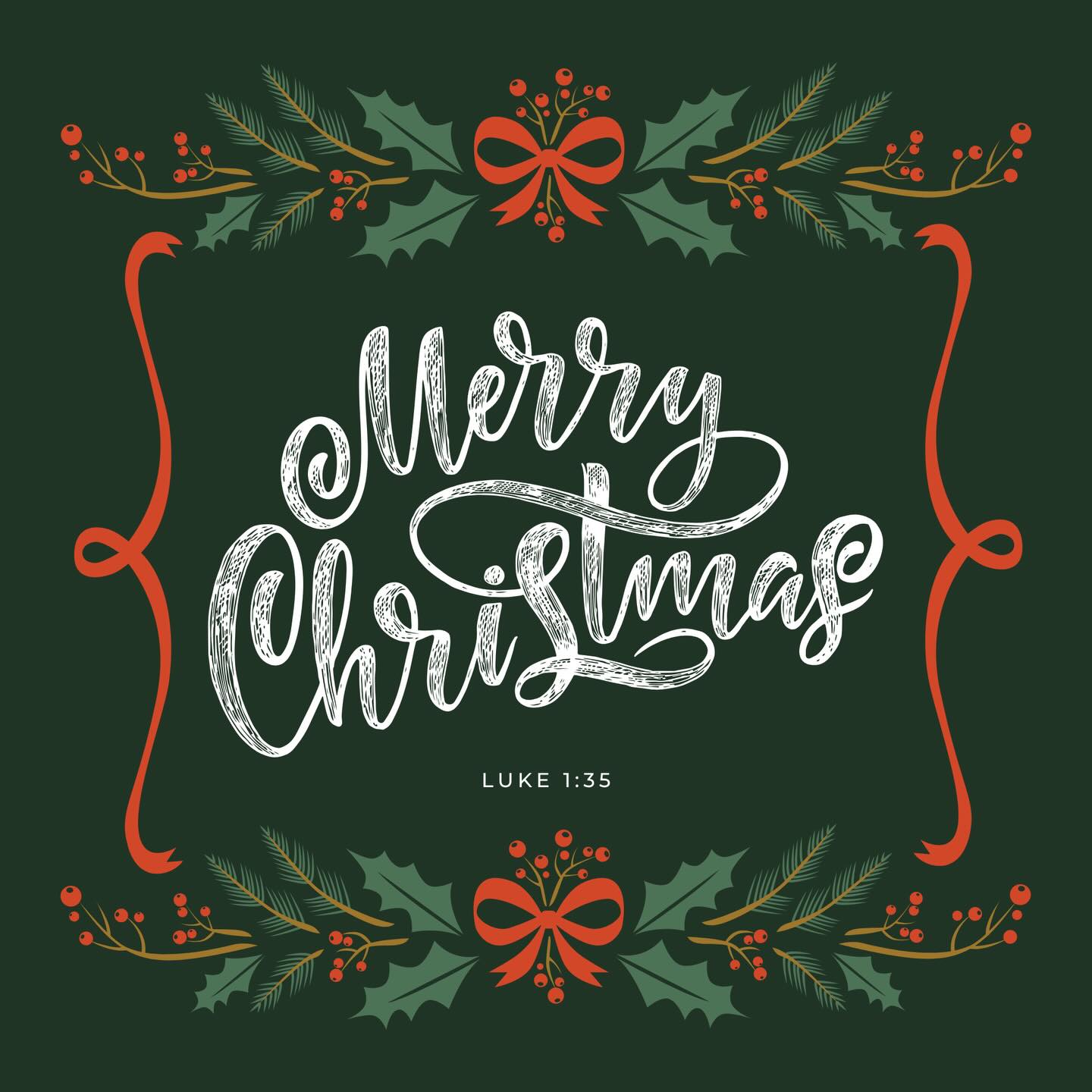 On behalf of Pastor Arlan & Yaritza, and our entire church community, we pray you have a Merry Christmas. Celebrate before the Lord, worship, sing, rejoice and enjoy your time sharing with family and friends. Jesus has come among us to show us life!
“The angel said to her, “The Holy Spirit will come upon you, and the power of the Most High will overshadow you; therefore the child to be born will be holy; he will be called Son of God.”
Luke 1:35