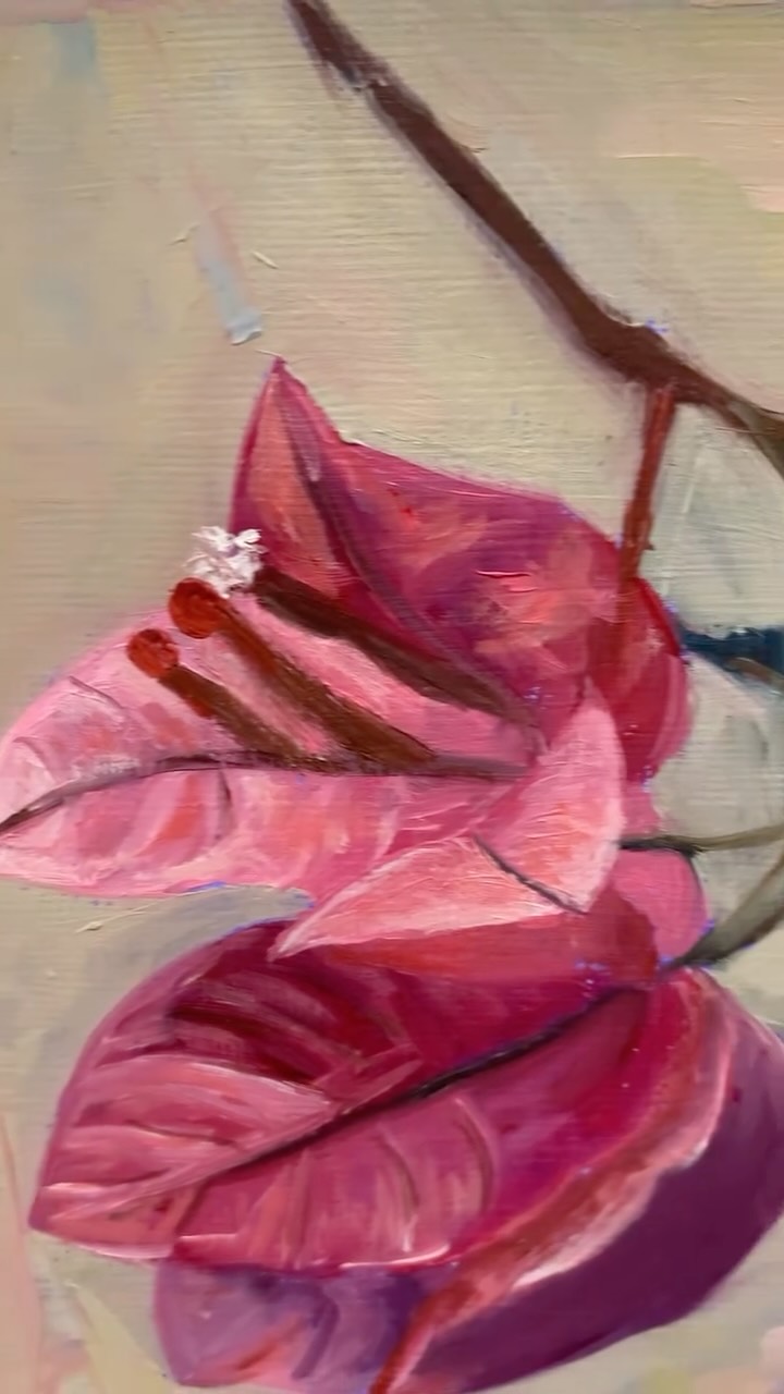 A burst of colour in a small frame ✨
Mini oil painting of bougainvillea.
#bougainvillea #oilpainting #minipainting #artistsoninstagram #floralart #artstudy #gemdebustos