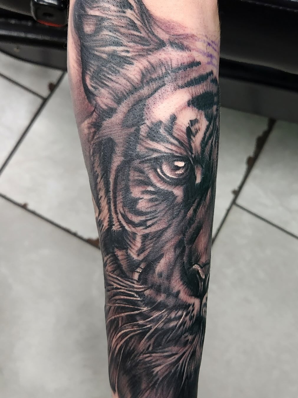 Showcasing some of our artists most recent work! 🖤✨
Half lion head - @jordanstattoons
Fighter jet/deck of cards - @jonathanpinfieldwells
Alucard the vampire - @kelseytattooss
Four eyed skelly - @ahs_reverie
To book with any of our amazing artists, please call the shop at 989-835-6672, message us or stop into the shop located at 3126 Jefferson Ave, Midland MI!
#jonathanpinfieldwells #blackballtattoo #midlandmi #michigantattooartist #englishjonny michigantattooers mtpleasantmi baycitymi saginawmi detroitmi blackandgreytattoo