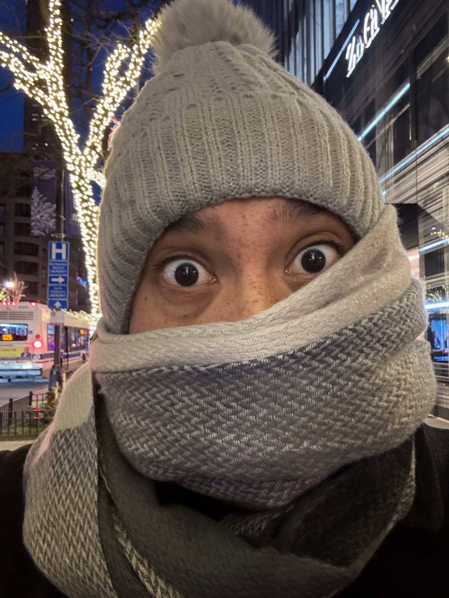 A short, but wonderful trip to Chicago for the Midwest Clinic, surrounded by such brilliant and inspiring people. A special treat to see so many friends and colleagues and make new ones as well. Chicago will forever be one of my favorite places on Earth but now it’s time to briefly head home and defrost! 🥶
#chicago
#midwestclinic