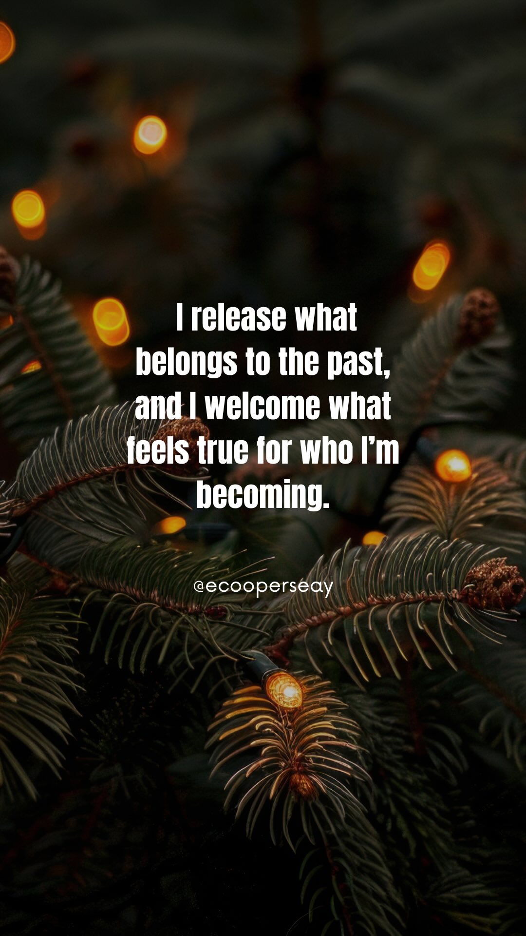 Today is the Winter Solstice.
The longest night.
A quiet turning point.
This isn’t a moment for pushing or planning... it’s an invitation to pause, soften, and listen.
As the light slowly begins to return, we’re reminded that release can be gentle…
and becoming doesn’t need to be rushed.
✨ Reflect with me:
What am I ready to let go of?
What feels true to carry forward?
Trust that even in the stillness, something meaningful is unfolding.
www.ecooperseay.com
706-688-9642
#antahsara #wintersolstice #seasonalshift #reflection #lettinggo newbeginnings innerwisdom mindbodyconnection healingjourney quietturning