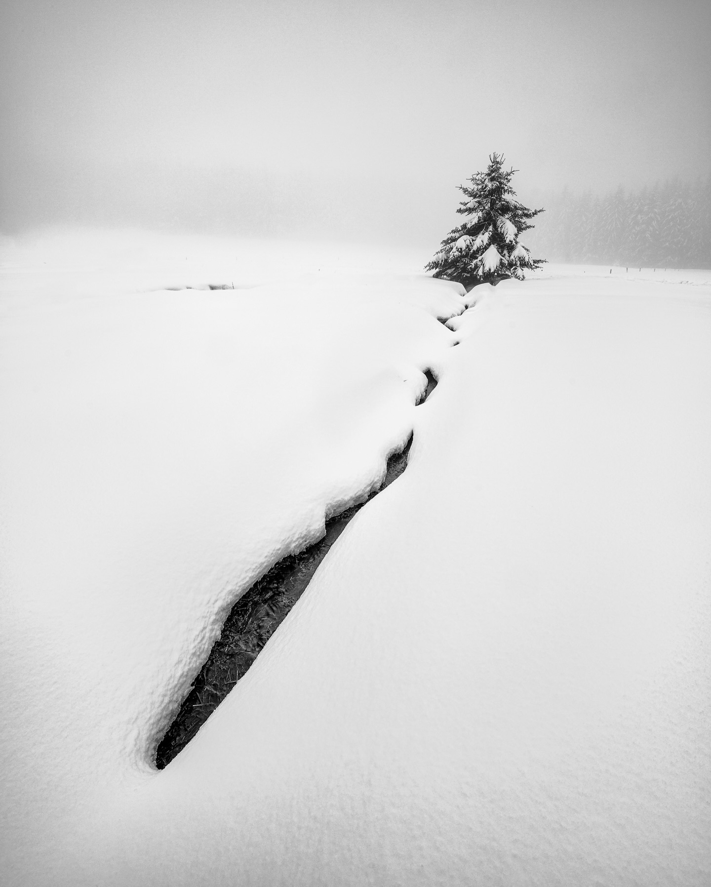 Wishing you a peaceful Christmas time and a great start into a new year full of great moments and many encounters with amazing people.
A year shaped by shared paths and quiet moments. By conversations in the field, laughter during workshops, or the care taken in every small discussion to create the prints my clients love.
Thank you to everyone who placed their trust in me: family, friends, collaborators, and partners alike.