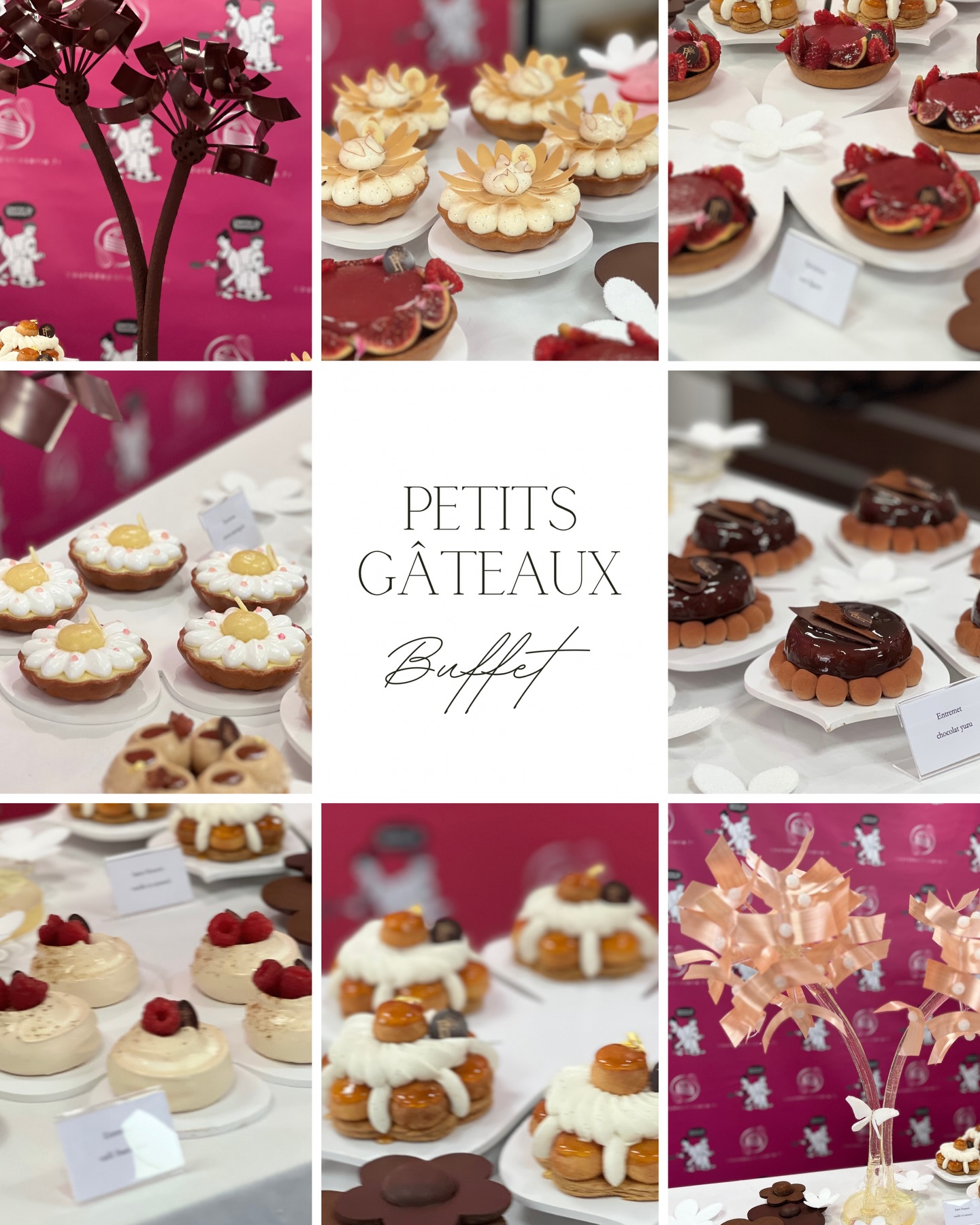 En octobre j’ai eu l’immense plaisir de suivre une superbe Masterclass « Techniques avancées de petits gâteaux et décors sucre/chocolat : valorisation de buffets » - par @florence_lesage chez @coursdepatisserieecole à Cavignac. Je n’ai pas eu le temps de publier les photos encore mais je voulais vous en montrer un aperçu…la suite en début d’année prochaine 😍💐
#snpatisseries #buffet #masterclass #pâtisserie #buffetdemariage