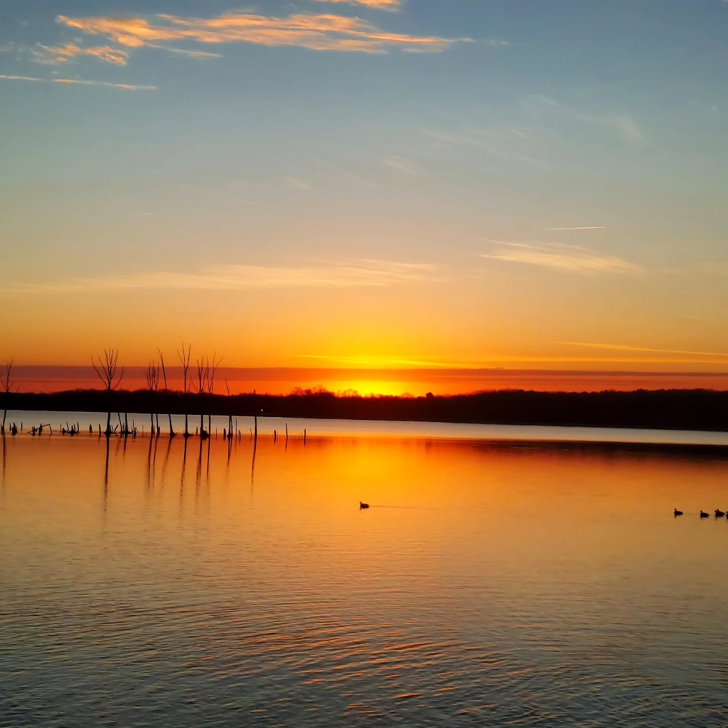 Blessed Solstice!
I was lucky enough to wake early and enjoy the sun rise over the Manasquan Reservoir, so I'm sharing that beauty with you...
Blessed be and a merry Yuletide ✨️
#witch #holidays #sunrise #yule #solstice