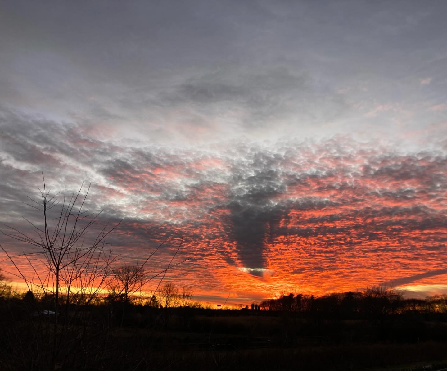 The sky put on a show over the fields for our last day open for the year.
Thank you deeply from the bottom of our hearts for the support and words of encouragement all season long. We truly have the best customers ever.
After a bit of rest we’ll send out an email with 2026 CSA sign up dates to keep an eye out for.
Happy holidays to you all- May your tables be full and your hearts warm with gratitude for all that you have and those you share it with.
Xo- J, M, & V