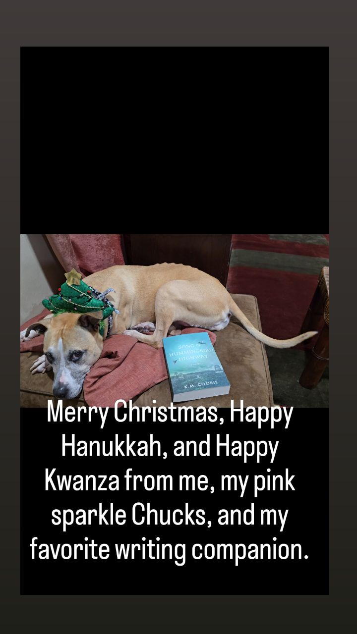 Good mawning, Miss Lady!
This season, I'm celebrating truth, connection and the journey.🎄
May your holidays be filled with joy, music, magic and the courage to ask yourself are you creating?
📖Song of Hummingbird Highway - available for pre-order. Link in bio.
#magicalrealism #writingcommunity #literaryfiction #songofhummingbirdhighway #AreYouCreating
What are you celebrating?