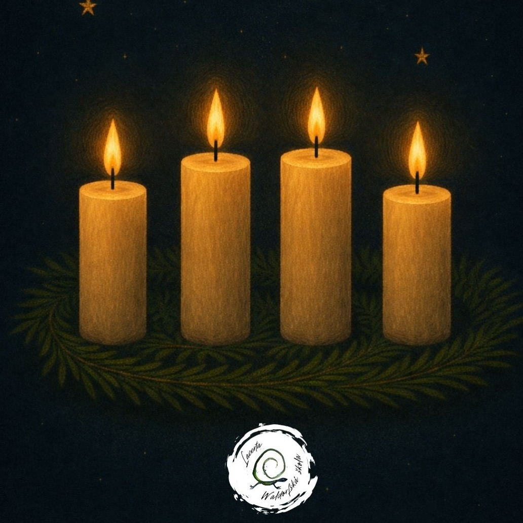 Čtvrtá adventní neděle 🕯️🕯️🕯️🕯️
Čtyři světla stojí tiše vedle sebe.
Už nehledáme — světlo je tady.
V tichu dozrává pokoj,
v jednoduchosti se rodí blízkost
a v klidu srdce se otevírá prostor pro dar.
Ať nás čtvrté adventní světlo přivede domů —
k sobě, k druhým a k tichému zázraku, který přichází.
Přejeme vám společně prožít ty ztracené chvíle klidu, radosti a pohody,
které dělají Vánoce skutečně výjimečnými.
Waldorfská základní škola Lacerta
#advent #waldorflacerta #skola #vánoce