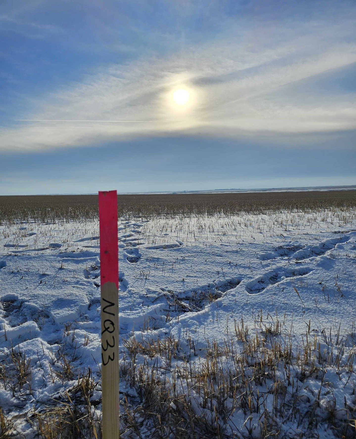 Winter days feel brighter when blue skies stretch overhead and riverbeds rest beneath the snow—especially when the sun finds its way through the clouds. Surveying is pretty awesome on a day like this.
Thanks Bailey for these shots!
#2020geomatics #2020geo #landsurveying #landsurveyor #survey #surveying #surveylife #surveyor #sask #saskatchewan #rural #urban #ruralsk #urbanSK #yqrsmallbusiness 
