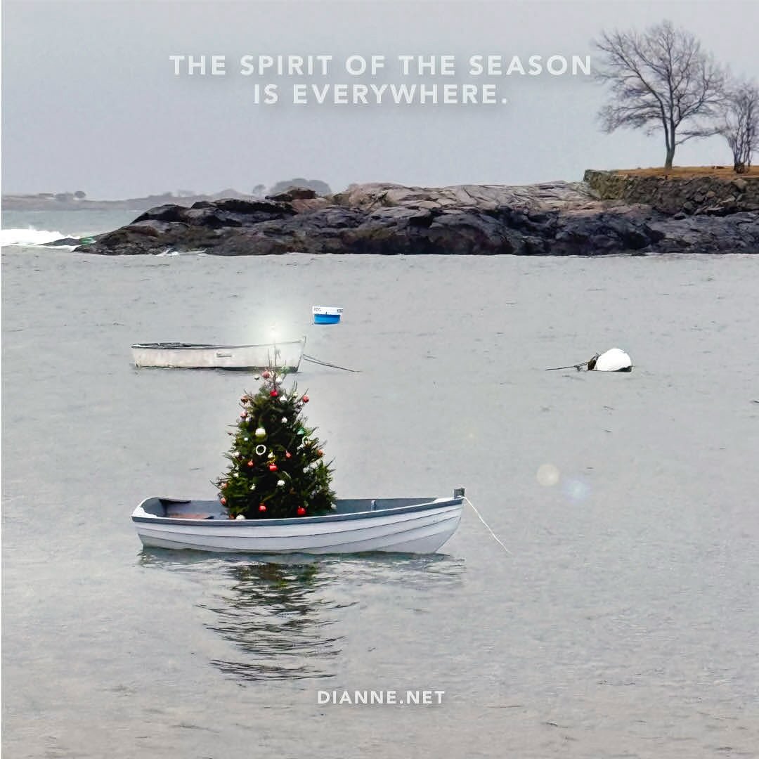 Enjoy this beautiful day!!