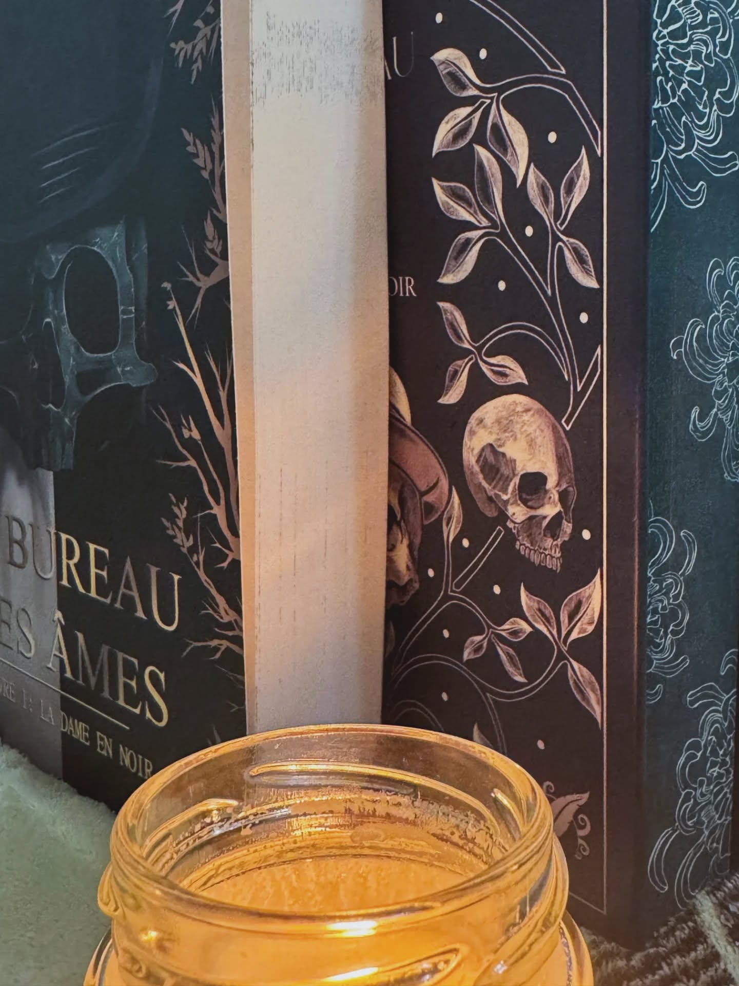 💀🎄 C'est Noël avant l'heure 🎄💀
Pour marquer cette fin d’année, les @editions_octoquill et moi-même vous offrons le prologue ainsi que quatre chapitres du premier tome du Bureau des Âmes — soit une cinquantaine de pages !
Attention : il ne s’agit pas des quatre premiers chapitres de la saga, mais de chapitres soigneusement sélectionnés par mes soins afin de vous présenter au mieux l’univers des faucheurs de Paris.
Le cadeau comprend les chapitres suivants:
- Chapitre 1 (Mathieu)
- Chapitre 10 - La rencontre entre la Vie et la Mort (POV Mathieu)
- Chapitre 11 (Prudence)
- Chapitre 15 - La rencontre entre la Vie et la Mort (POV Prudence)
Le PDF est à retrouver gratuitement sur mon linktree.
Belle lecture 🖤
Mots-clés : littérature de l'imaginaire - thriller fantastique - roman - autrice française - new adult - joyeux Noël
Hashtags : #bookstagramfr #bookstagramfrançais #thrillerfantastique #sagafrançaise #autricefrancaise