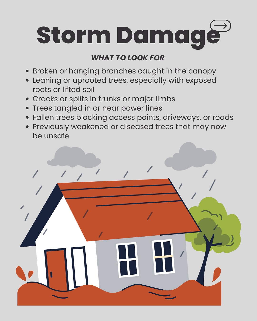 ‼️ STORM DAMAGE ‼️
What to look for, and how we can help.
Stay safe! 🌲