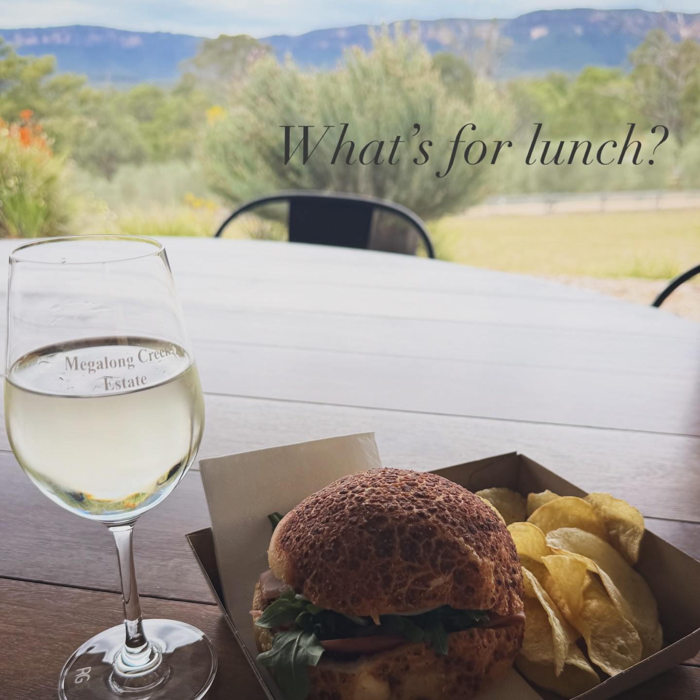 Stop by the cellar door today to pick up your last minute gifts or just sit and enjoy a final bit of peace before the crazy Christmas festivities begin! Today’s lunch SPECIAL - Christmas Ham Roll with Provolone Cheese, Rocket & Chutney OR Roast Turkey Roll with Brie, Rocket & Cranberry. OPEN TODAY 12-4pm for Wine Tasting • Sales • Lunch #bluemountainsnsw #bluemountainswine #megalongcreekestate (MCE Cellar door closed 27/28 December - Re open 3rd January 2026)