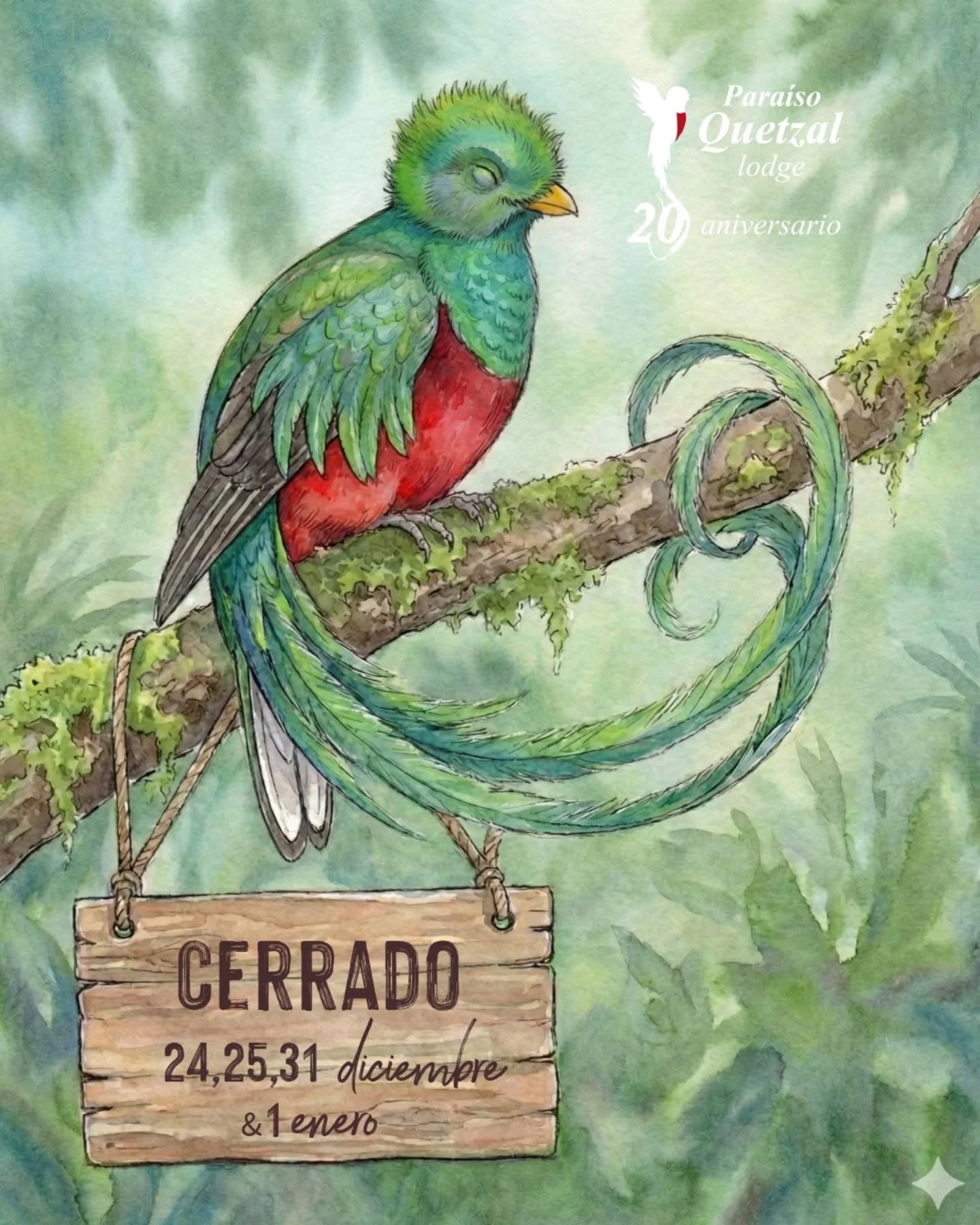 En Paraíso Quetzal Lodge creemos firmemente que para ofrecer la mejor experiencia, nuestro equipo también necesita momentos para desconectar y celebrar.
Por eso, queremos informarles que haremos una pausa en nuestras operaciones durante los días principales de las fiestas:
📆 Estaremos CERRADOS el 24, 25 y 31 de diciembre, así como el 1 de enero.
Gracias por su apoyo constante y por entender que nuestro staff también merece disfrutar de la magia de la Navidad en casa. ¡Nos vemos muy pronto en el paraíso!