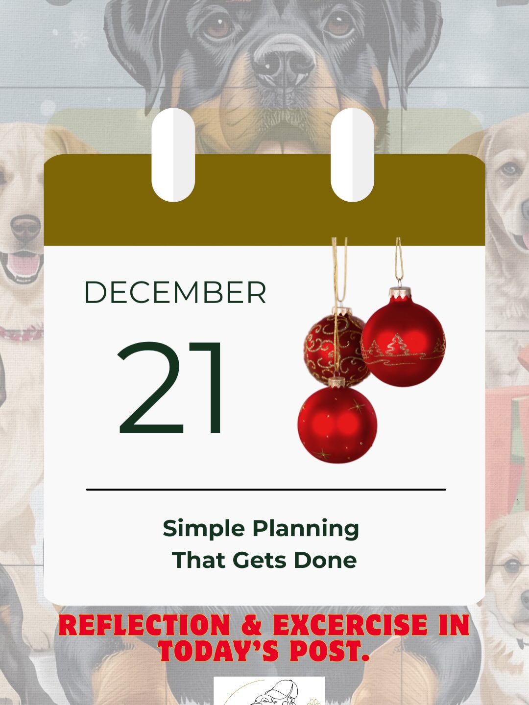 🎄 Day 21- Simple planning that actually gets done
Planning is a bit like goal setting.
Many people avoid it because we tend to overcomplicate things.
A goal without a plan stays a dream.
And a plan without action does the same.
Here, I’m not talking about complex schedules or perfect systems.
I mean simple everyday planning for things you already want to work on.
It can be anything from sit, down and stay
to specific everyday exercises.
✨ A very simple way to plan (and follow through)
This is how I do it:
1. Write down 1–5 exercises you want to train
2. Draw 10–20 boxes after each exercise
(or use squared paper)
3. Add a start date and number of days
Example:
• Nose target – 15 boxes
• Waiting for release cue – 15 boxes
• Reverse luring – 15 boxes
Date: today + three days ahead
✨ How the plan is used
Each time you train an exercise → check one box.
One box equals one short training moment.
This is not meant to be a full training session.
The exercises do not need to be done at the same time or in any specific order.
It can be:
• One exercise for one minute
• At one moment
• And another exercise at a completely different time
What matters is not when or how, but that you follow your plan and check off your boxes.
These sessions are:
• short
• take about a minute
• easy to fit into everyday life
After a walk, after rest, before meals, that’s enough.
✨ Why this works
• You see exactly what’s been done
• You avoid the feeling of “we should train more”
• Progress is easy to evaluate
• Motivation grows with visible check marks
Plan, goal and action, in one simple system.
KISS.
Keep it short and simple.
🌟 Small exercises, big joy, every day together.
#dogtraining
#everydaytraining
#dogpsychology
#doglife
#lottadogpt