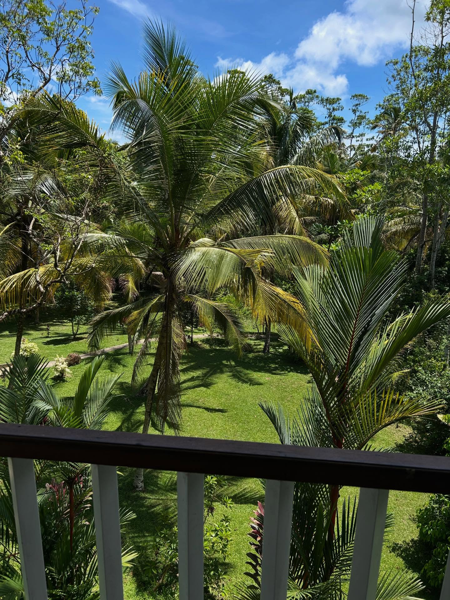 A jungle escape, served on a plate 😋 #restaurantwithaview #boutiquehotel #galle #unawatuna #travel