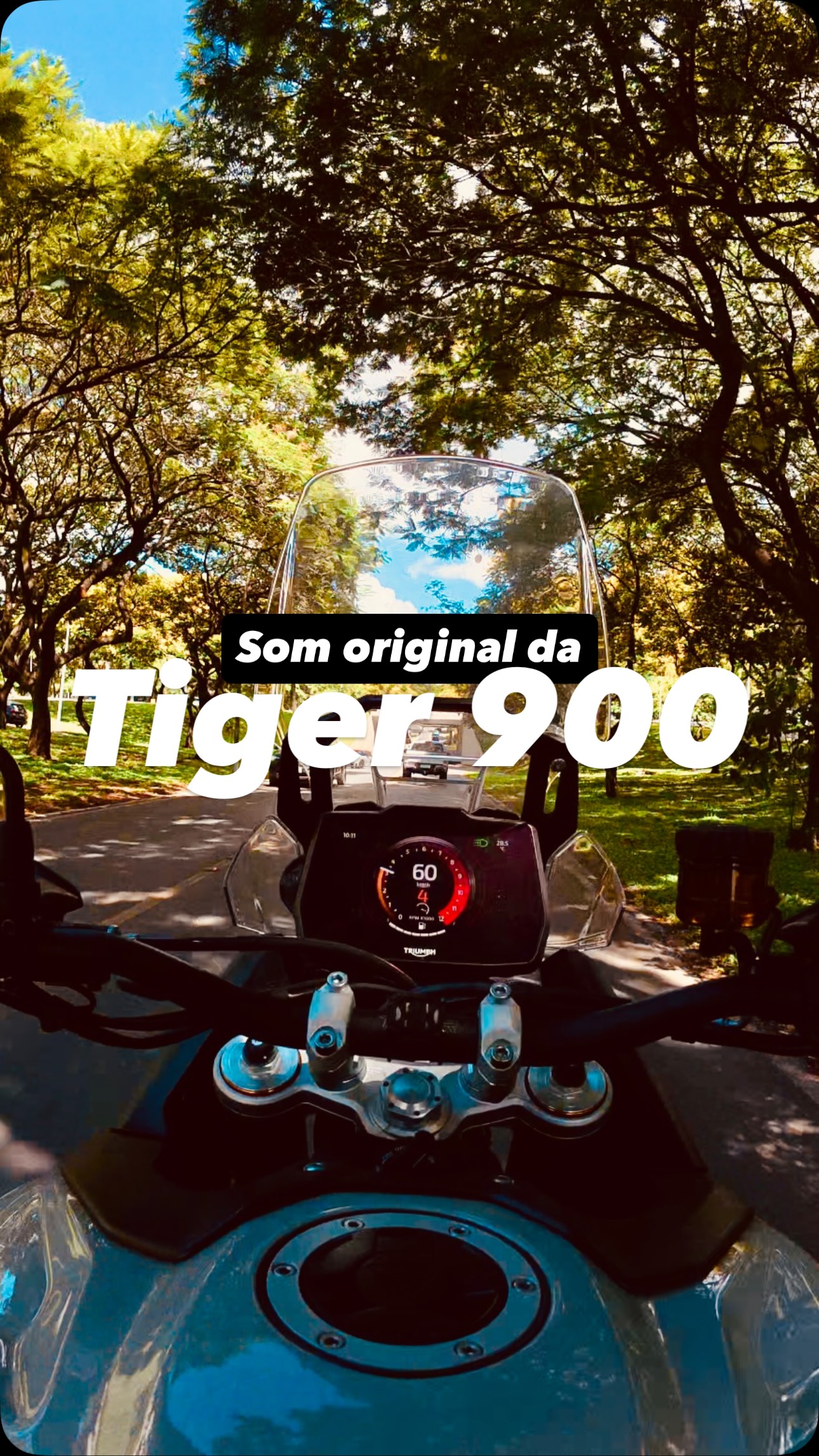 Colei o mic perto do escape para ouvir o som original da #tiger900rallypro
@triumphbr
@triumphbrasilia