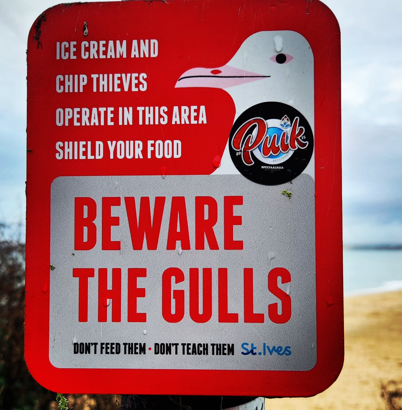 St Ives gulls...
#stives
#cornwall