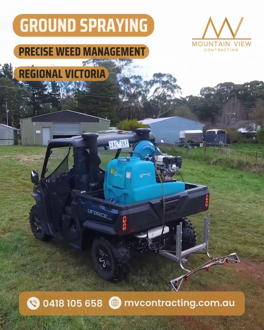 Precision matters in weed control. Our ground spraying services are designed for accuracy, efficiency, and long-term results — trusted by landowners throughout regional Victoria.
Contact Paul via messenger or the MVC website for a free quote.
.
.
.
.
.
#mountainviewcontracting #mvcontracting #earthworks #gisborne #macedonranges #ballarat #mitchellshire #creswick #daylesford #trentham #glenlyon #ashbourne #tylden #lyonville #hepburnshire #mtalexandershire #harcourt #castlemaine #maldon #woodend #lancefield