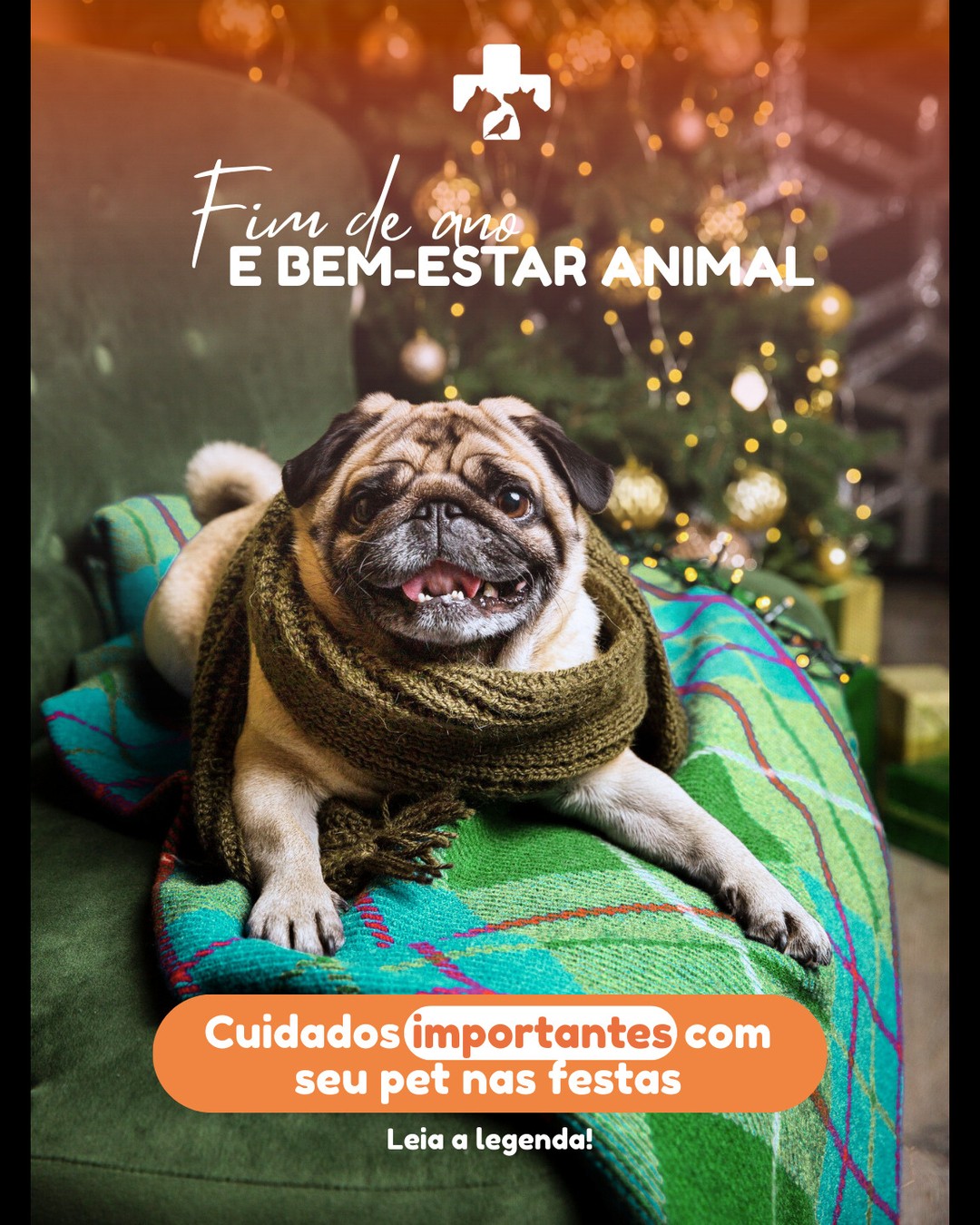Enquanto o fim de ano é sinônimo de festa, para muitos pets é sinônimo de estresse, medo e riscos à saúde.
Fogos, visitas em excesso, alimentos fora da rotina e até viagens longas podem afetar o bem-estar do seu pet.
🚨 Fique atento aos sinais de ansiedade, alimentação inadequada, fugas ou vômitos. Nessas horas, a prevenção e o acompanhamento veterinário fazem toda a diferença.
💙 Estamos prontos para ajudar seu pet a passar pelas festas com mais tranquilidade.
📲 Atendimento 24h | Hospital Veterinário Alto Tietê – Arujá/SP
# BemEstarAnimal #CuidadosComOPet #FimDeAnoPet #SaúdeAnimal #VeterináriaEspecializada