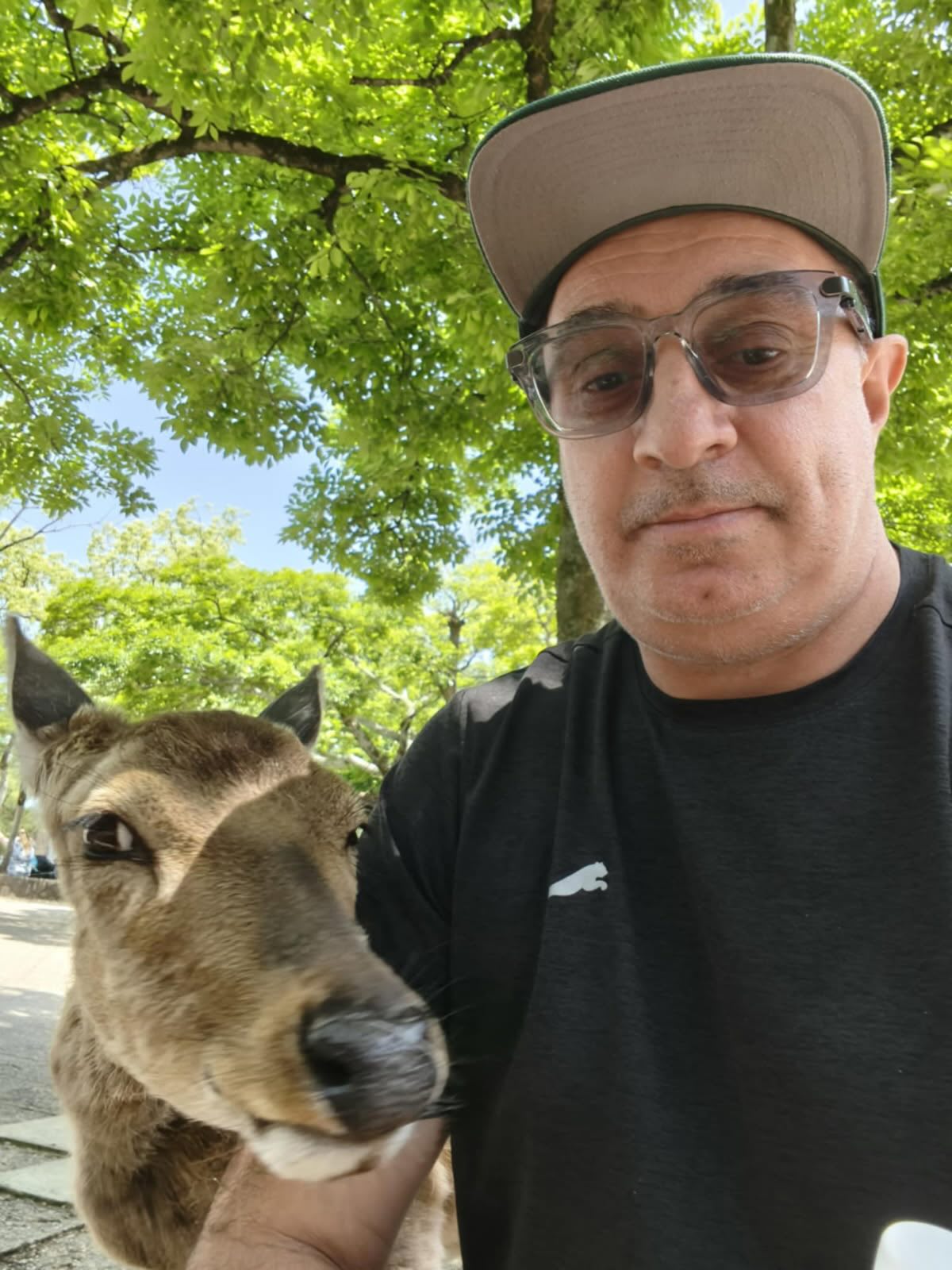 Ladies!! No….these men are not available! 😆
A different post this time, to appreciate the husbands and brothers behind our incredible team of hardworking women this holiday season.
From changing light bulbs to taping “cameras”, from picking up plants to patching last-minute holes, from emergency cleans to folding fitted sheets (yes, really 😆)
These men have been the true definition of teamwork and dedication.
Their support behind the scenes makes a huge difference, not only to their partners but to Noosa Holiday Gems as a whole.
So… thank you, thank you, thank you!
Behind every amazing woman, there’s an amazing man cheering her on 😍
Legend energy all round 💪✨