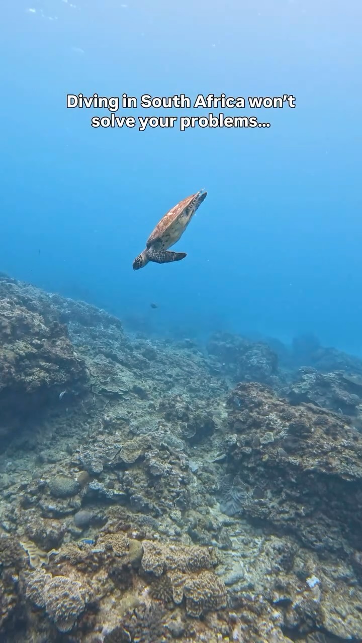 Worth a shot? Come see for yourself 🤿🌊