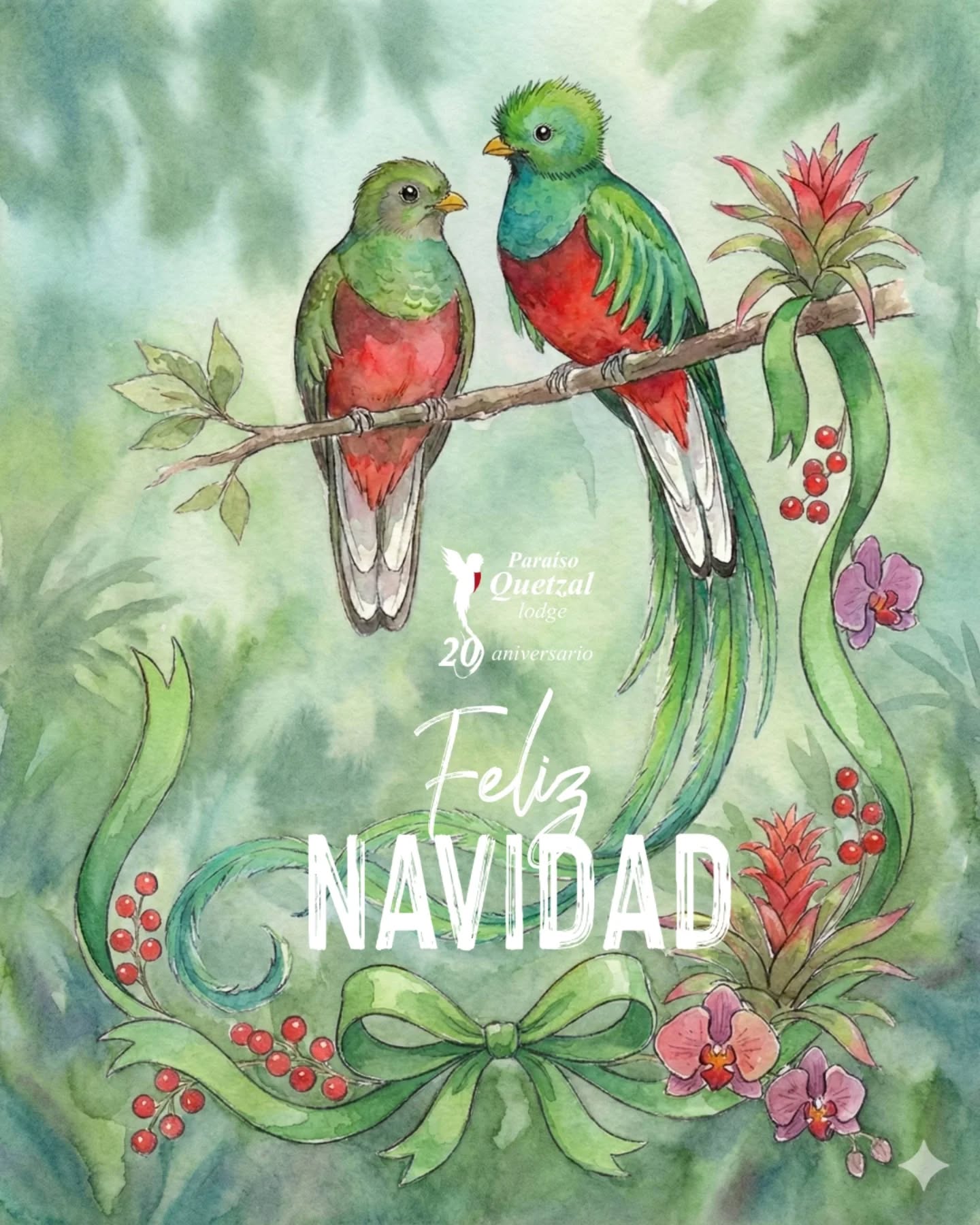 ¡Feliz Navidad de parte de todo el equipo de Paraíso Quetzal Lodge! 🌟 En estas fechas tan especiales, queremos tomarnos un momento para agradecerles. Gracias a cada uno de ustedes que nos ha visitado, que ha madrugado con ilusión para recorrer nuestros senderos y que ha compartido con nosotros su amor por la naturaleza. 🍃🙏
Ustedes son la razón por la que amamos lo que hacemos. Esperamos que sus hogares estén llenos de risas, salud y mucho amor.
¡Un abrazo cálido desde las alturas!