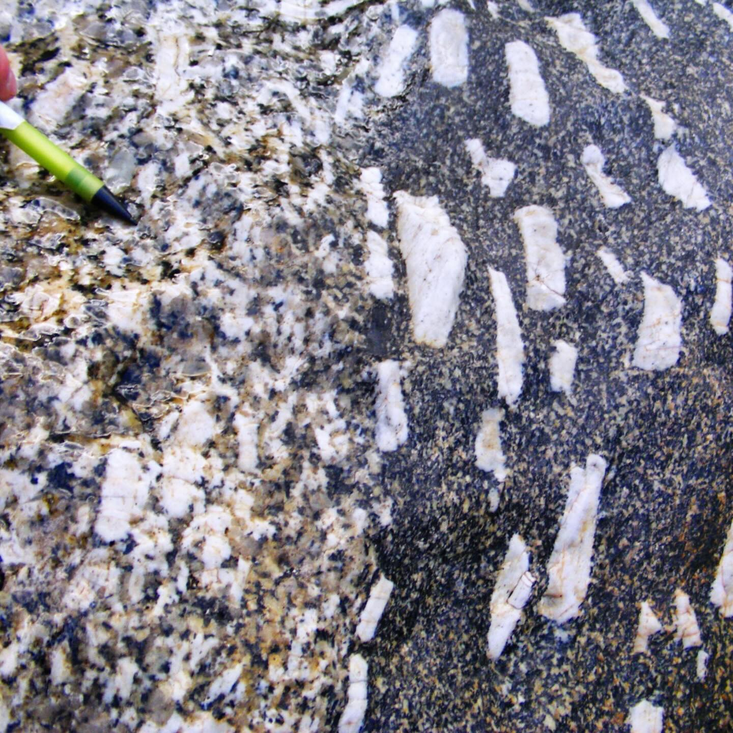 A dig back through the PhD archive here, trying to decipher the complex magmatic evolution of the Land’s End Granite at Wicca Pool.
The coarse-grained, porphyritic biotite granite on the left is juxtaposed with a more medium-grained, biotite-rich granite with larger alkali feldspar phenocrysts.
These occur in a large granite sheet intruding the host rock immediately above the main body of granite below.
It is unclear whether these are separate intrusive events, or occur from in situ differentiation. Given the sharp contacts, it is more likely to be the former, but with no clear cross-cutting relationships it is difficult to tell which came first.
The more biotite-rich granite could have resulted from differences in melt chemistry, evolving in situ or during transportation of the magma. It may also be from a different melt source from the other magmas.
As you can tell, a PhD project can more often kick up more questions than answers! There is so much more to discover!
#granite #landsendgranite #swcoastpath #penwith #cornwall #cornwallcoast #cornishcoast #walkingcornwall #explorecornwall #lovecornwall #cornwallgeology #cornishgeology #geology #geologyrocks #geolife #geologist #geologistsofinstagram #learninggeology #geoadventure #exploregeology #geologicalwonders #amazingcornwall #geologylife #geologyfieldtrip #zennor #minerals #biotite #wiccapool #cornishgranite
