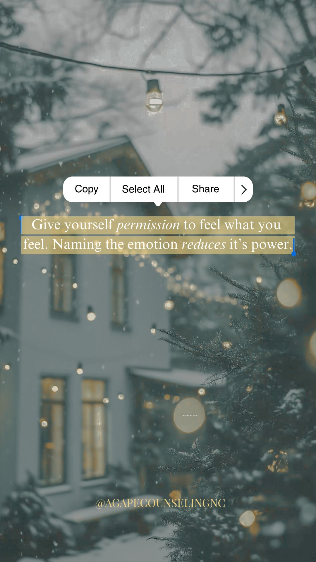 The holidays can amplify anxiety. Busy schedules, family dynamics, financial pressure, sensory overload. This is why your having the right tools matter more this season, not less. Grounding, boundaries, breathwork, movement, and self-compassion aren’t “extras”…they’re protective. Using your tools doesn’t mean you’re failing at healing; it means you’re supporting your nervous system in a demanding season. You’re allowed to create calm, even during the holidays.
#anxietytools #holidayhealing #emotionalregulation