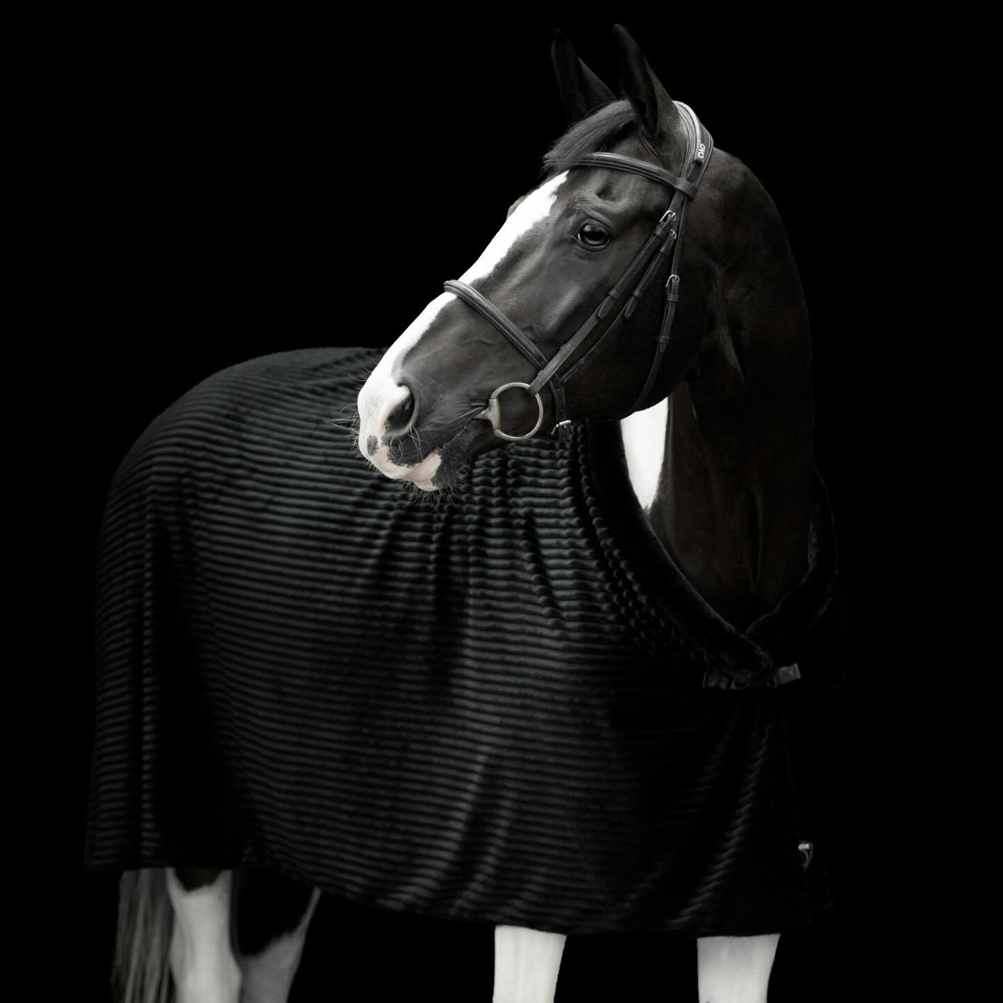 🎁 SOS Cadeaux : Ma sélection ultime pour la dernière ligne droite ! 🐴✨
Alors mes Loulous, vous manquez d’inspiration pour gâter votre cavalier préféré ?
Ou peut-être que c’est votre liste au Père Noël qui a besoin d’un petit coup de pouce ? 😉
Pas de panique ! Je vous propose dans ce post la sublime couverture en fausse fourrure de notre nouvelle marque Estrelle ✨ Une superbe idée cadeau disponible tout de suite à 189,95€
😰 Peur de se tromper ? Pas de panique !
Retours possibles jusqu’au mardi 5 janvier 2025 😎🧘
Rappelez-vous : La Carte Cadeau est le joker qui fait toujours plaisir (et zéro risque que le tapis ne soit pas assorti aux guêtres !). 💳
🎅 Dernière ligne droite les Loulous !
Ne tardez plus, les stocks descendent aussi vite qu’un galop sur la plage.
👉 On vous attend en boutique
Lundi 22: 10:00-19:00
Mardi 23: 10:00-19:00
Mercredi 24: 10:00-17:00 ⚠️
Jeudi 25: FERMÉ
Vendredi 26: 10:00-19:00
Samedi 27: 10:00-19:00
Dimanche 28: 10:00-19:00
#derniereminute #ideecadeau #noelacheval #equestrianlife instapony