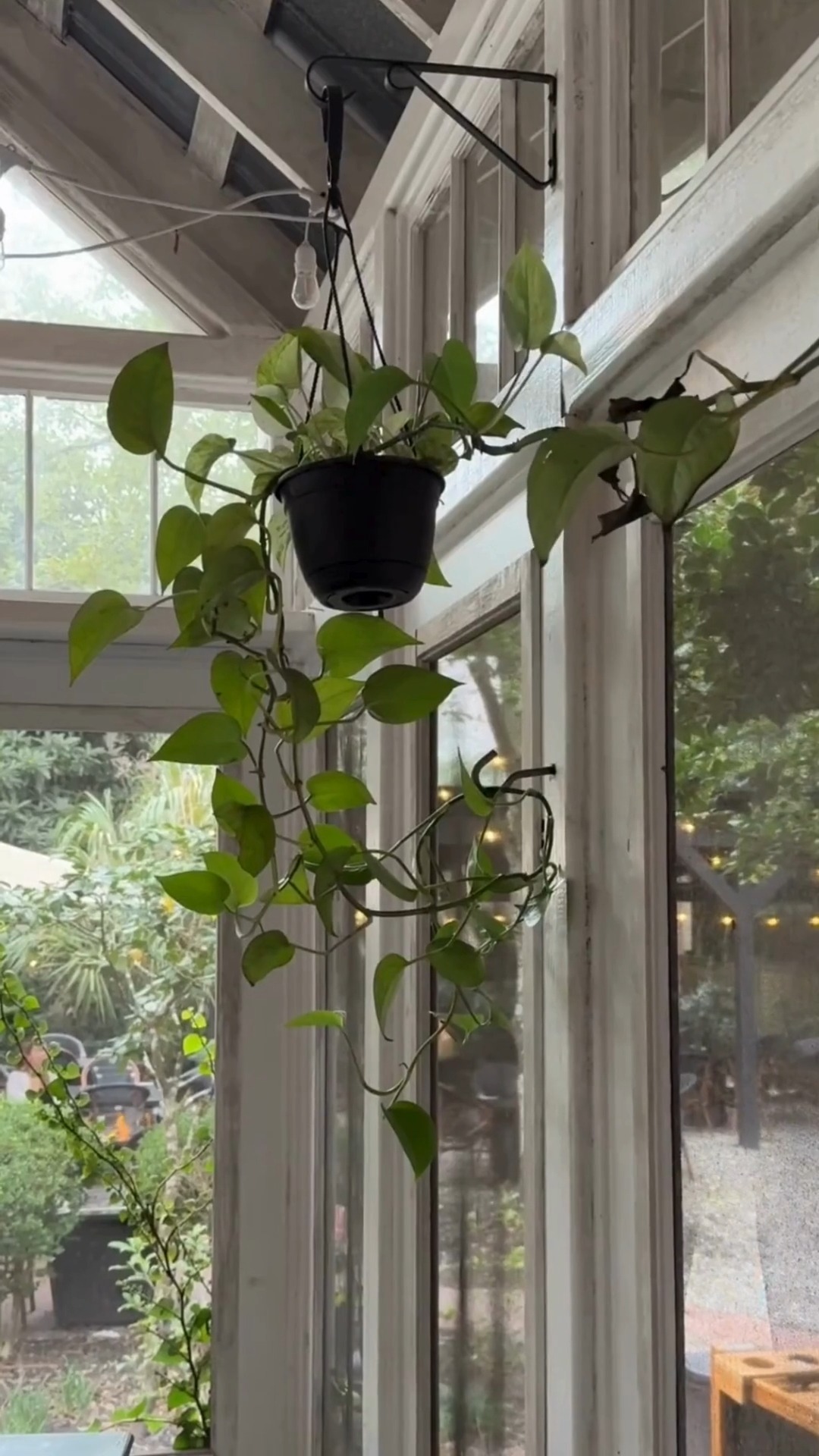 New Year’s Eve in Wilmington 🍾�Live music, fireworks, and a short walk back to your suite, where each room feels like a city waiting to be explored.�Join us as we toast to 2026 on Front Street.�#FrontStreetInn #NewYearsEve #DowntownWilmington #NCInns #CelebrateLocal #WorldlyCharm