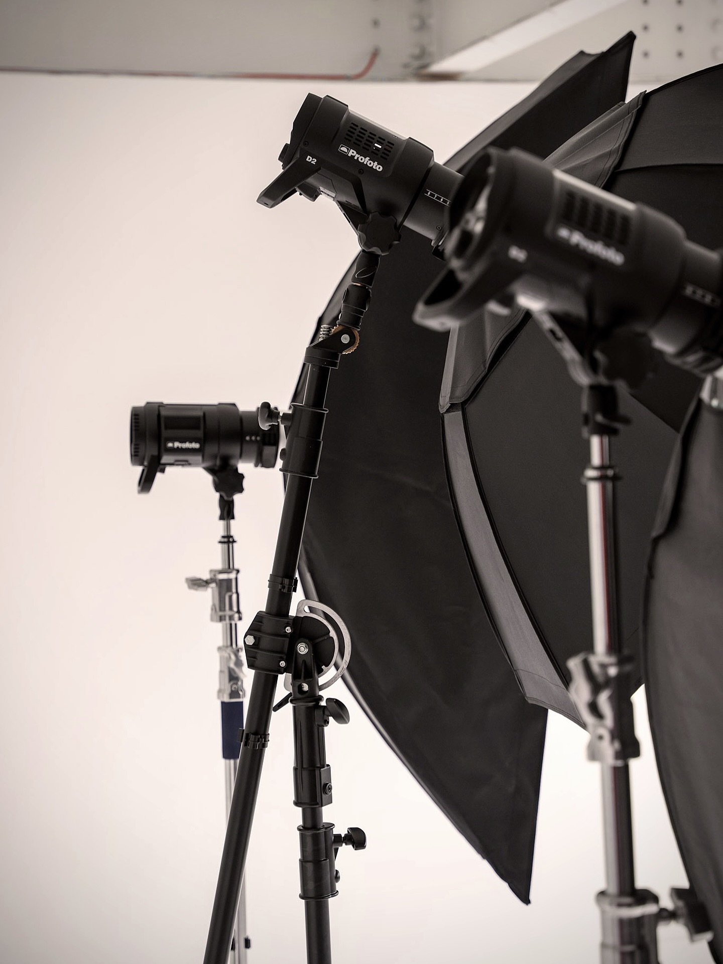 When the light’s right, everything else follows.
Niltoni Studios.