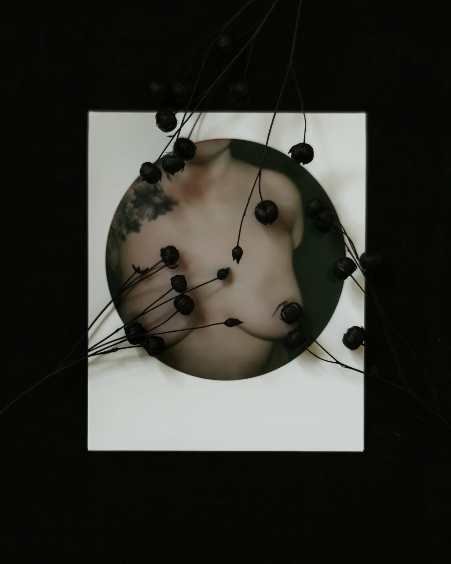 Now that my chest has your attention, here's a little message to tell you to check yours along with a very personal update.
TW Cancer.
I have decided to share this journey I'm about to go on for lots of reasons, most of you probably know by now that I am incredibly open, my brand is much more than a photography service, it's me. But mainly, every time someone has shared their cancer story with me, it has lifted an abundance of the weight of feeling alone. So I will be sharing this as I go.
I have recently been diagnosed with breast cancer. It's treatable which is a word I am beyond grateful for and I am going to be fine, but I'm not going to pretend that this makes it all ok, that would be dishonest. It's a dark time but it's also filled with more strength, support, reliance and kindness than I ever knew existed and I am grateful for so much right now.
So, for the business side...
What an incredible community we have in the wedding photography world and wow, my lovely clients have blown me away. You are all cherished more than you know.
My weddings up until November 2026 will all have wonderfully talented associate / second shooters along with me. With bookings going back to normal for the end of 2026 and into 2027.
Engagement shoots and wedding bookings are all go. I believe that my age and underlying good health is making this all of this possible. I photographed my last wedding of 2025 after 4 rounds of chemo rocking my new short hair look. 💪🏼
So that's all for now, check your chests and love to you all. Here I f***ing go. Thanks for coming on this journey with me 💓