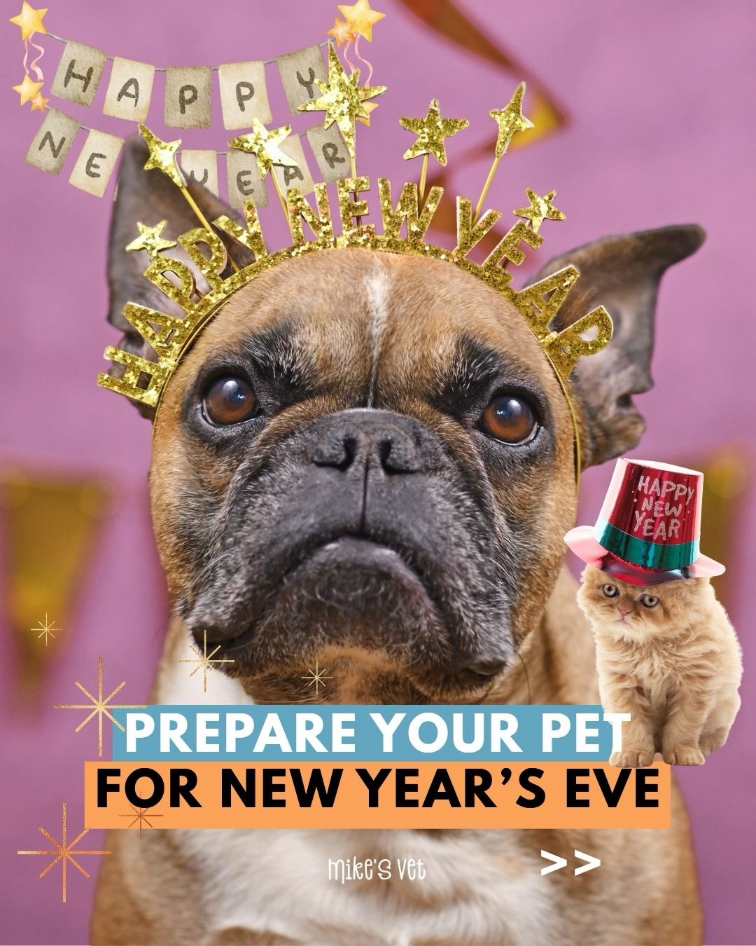 New Year’s Eve can be stressful for indoor pets because of noise, lights, and changes in routine. Here’s how to help them feel safe and calm! 🐾
@mikesvetdxb