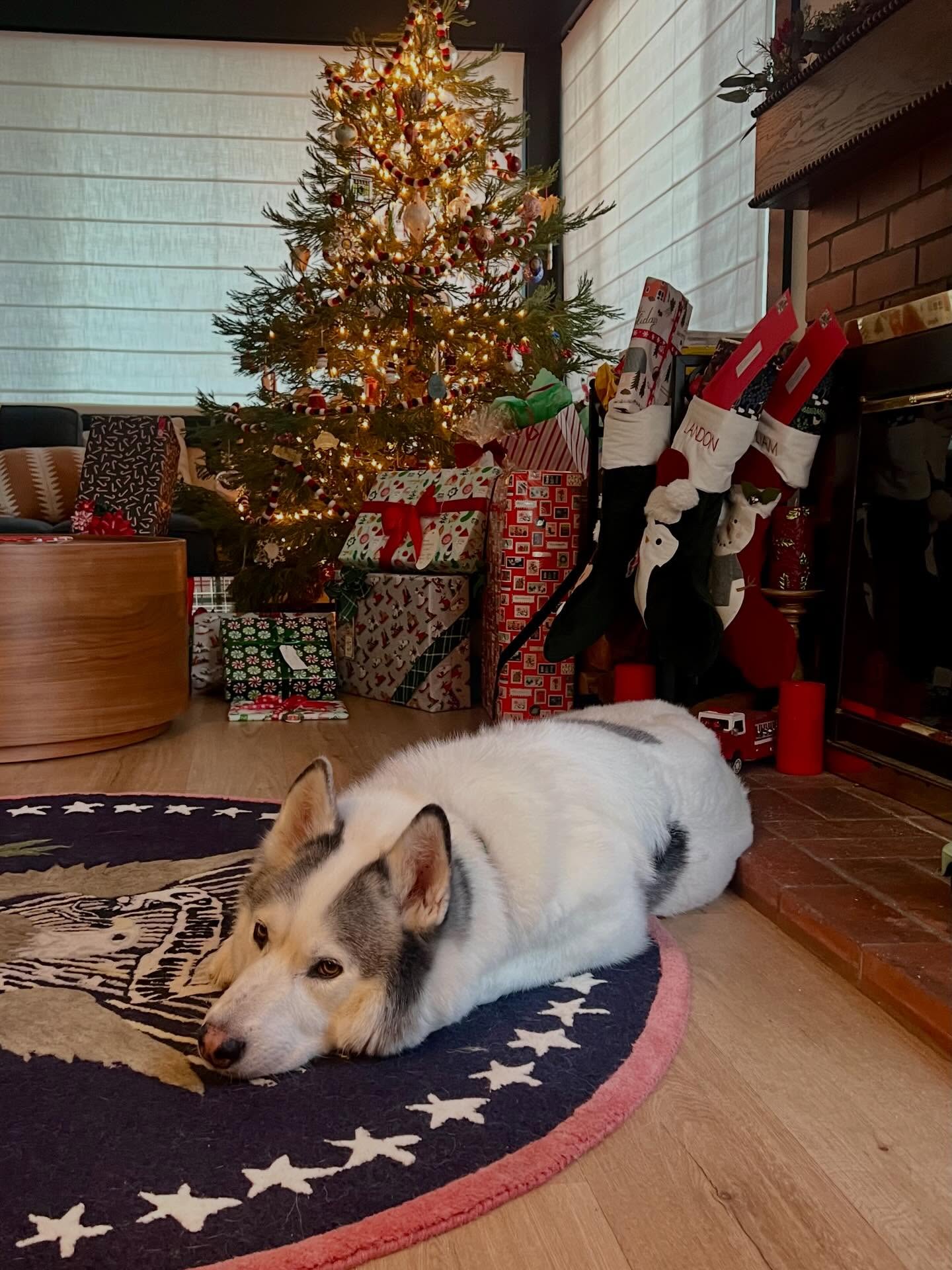 Storm Mullin wishes you a Merry Christmas 🎁🎄