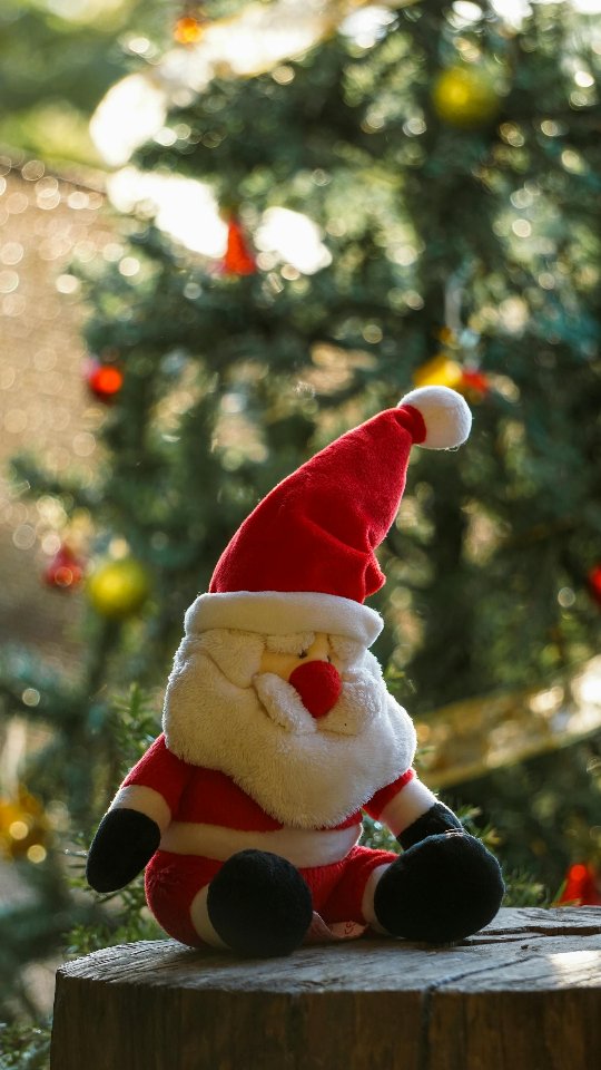 🎄 Joyeux Noël la Team ! ✨
En ce jour de Noël, j'avais juste envie de te dire Merci ❣️
Merci d'être là, de me suivre, de soutenir MOD'Chadeschoux et surtout faire partie de cette aventure humaine 🥰
Aujourd'hui, on met le business de côté.
On se recentre sur l'essentiel : la douceur, les sourires, les moments simples et l'amour 💫
Je te souhaite un Noël rempli de chaleur, de bienveillance et de jolis moments pour toi 🎁
Prends soin de toi, tu es précieuse 💎
.
.
#noël #joyeuxnoël #fêtes #modefemme #stylefemme #pretaporterfemme #modedu34au50 #lookfetes #femmeconfiante #vichymonamour #inspirationmode