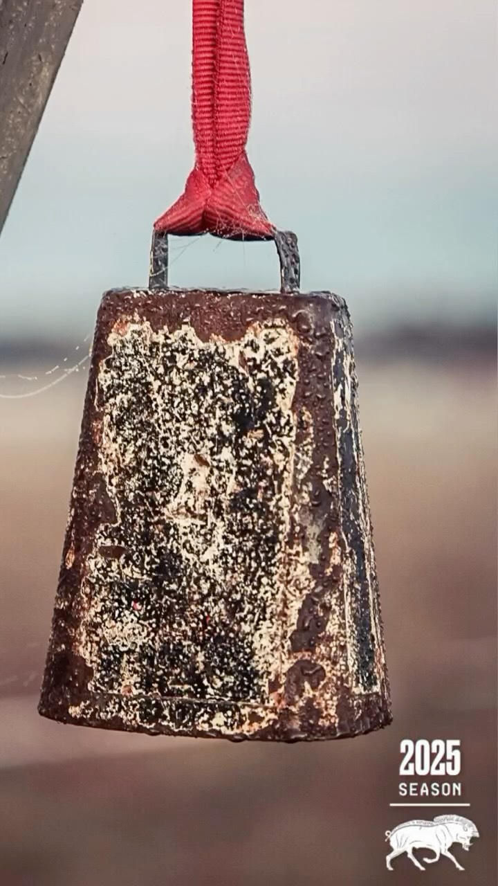 ‼️ SPARTAN SUPER 10k ‼️
First time SPARTAN experience for all 6 ladies!! GREAT WAY to end 2025 and proud of the mindset it took for all to SHOW UP & FINISH!
❄️ Merry Christmas Day! ❄️
#spartanrace #challengeyourself #showup #finish #spartan