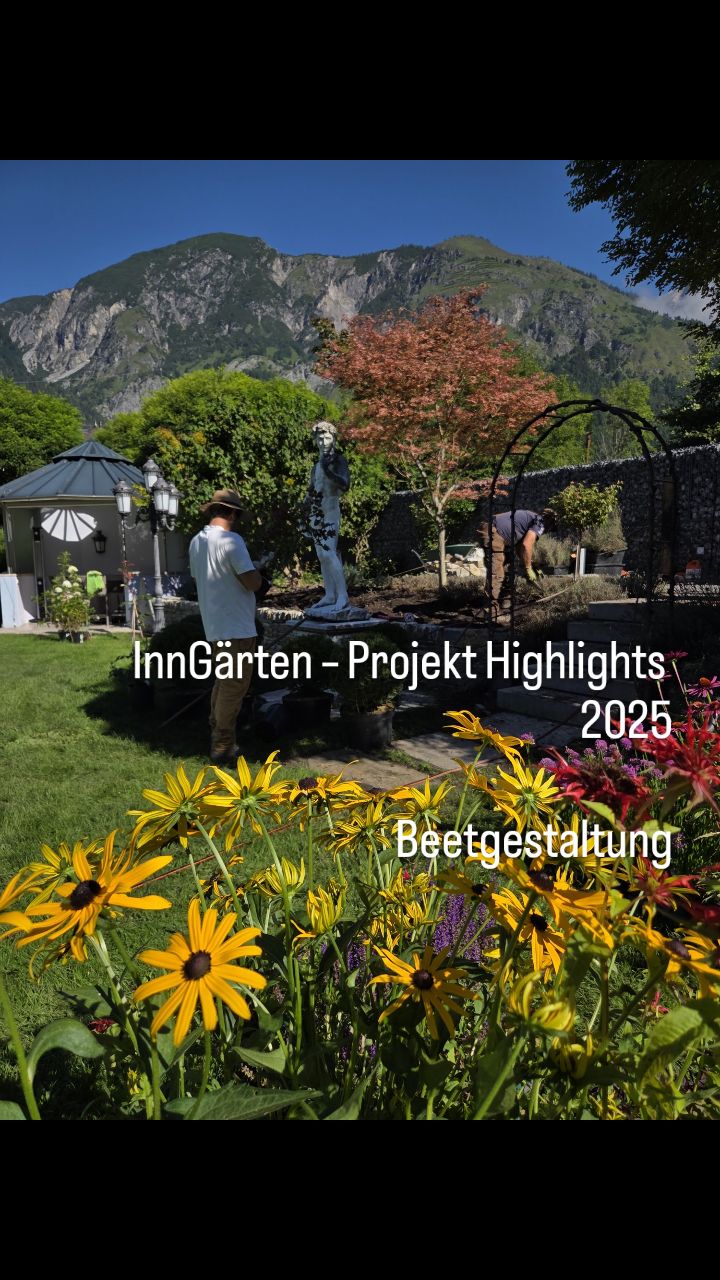 InnGärten - Projekt Highlights 2025
Beetgestaltung:
Blütenstauden als tragendes Gestaltungselement.
www.inngaerten.at
#inngaerten #gartendesign #staudenbeet #gartengestaltung #gartenideen