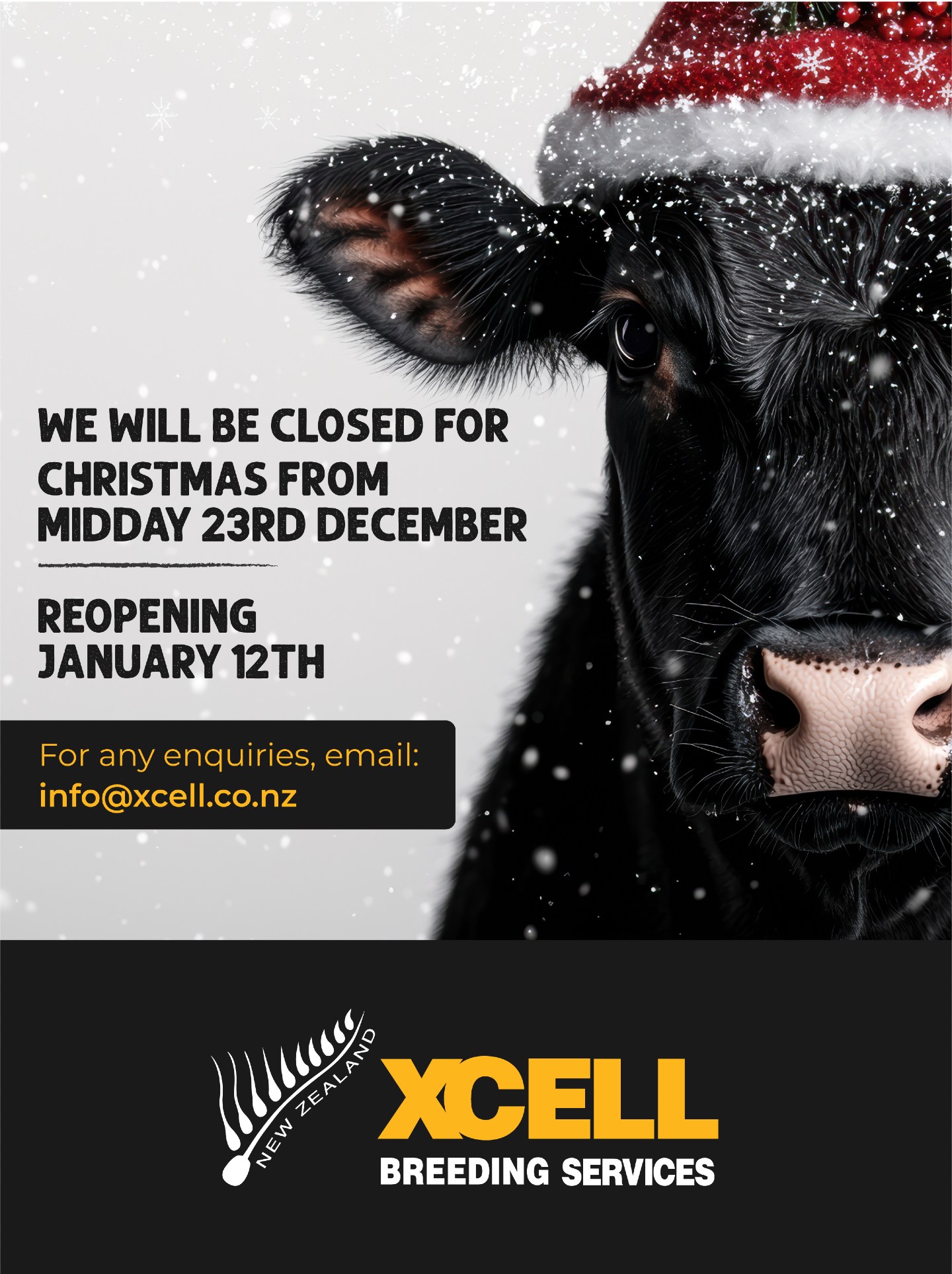 Just a heads-up that from midday today we'll be swapping our desks and field work for jandals and BBQ tongs while the team takes a well deserved break. We will be back on deck from January 12th.
Feel free to send us your inquiries. We'll dive back into action and respond as soon as we're back, fresher than a steak off the barbie!
A huge shoutout to our amazing clients for your support through the year we can't wait to see what adventures the New Year brings!
Wishing you all a joyful and restful holiday season. π
