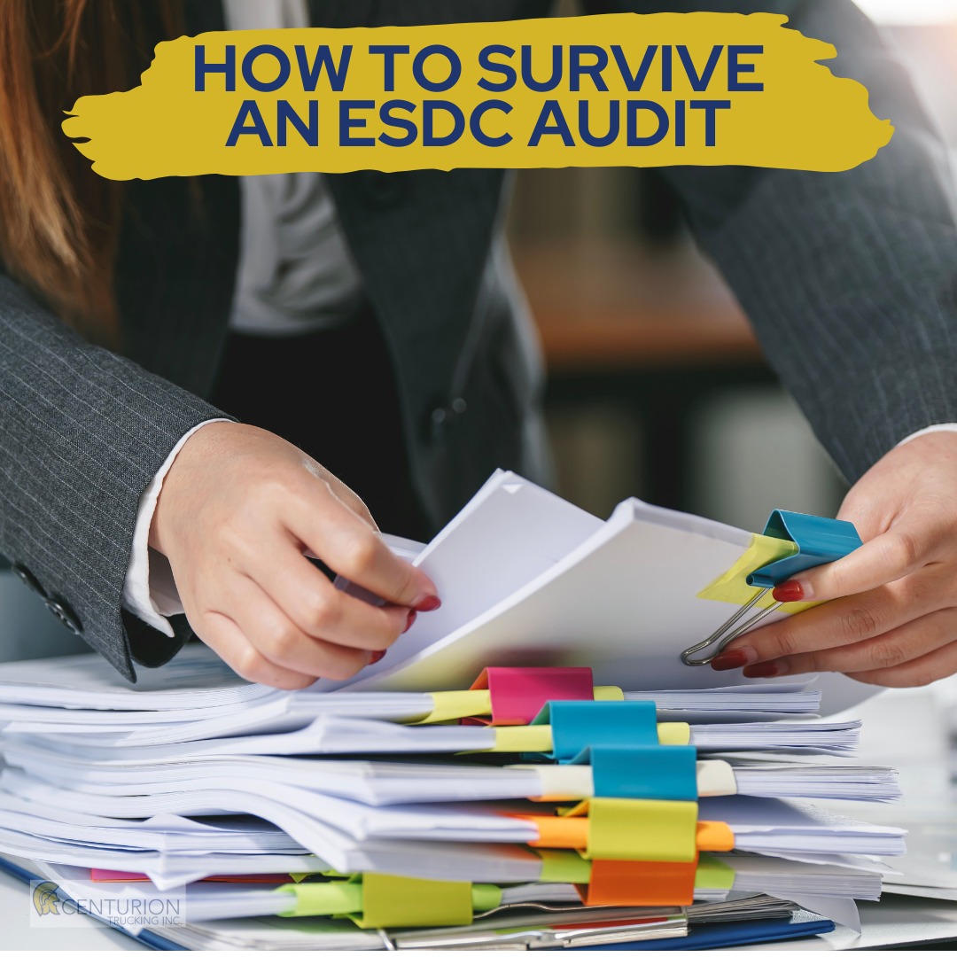 Canada’s federal labour department is stepping up unannounced audits across trucking fleets nationwide to crack down on driver misclassification — and it’s not just targeting “problem” carriers. Even long-standing, fully compliant fleets are getting visits.
If you’re in the industry, this is something you need to be paying attention to.
👉 Read the full article to understand what’s happening, why it matters, and how fleets are preparing.
https://www.trucknews.com/business-management/the-feds-are-coming-how-to-survive-an-esdc-audit/1003206329/