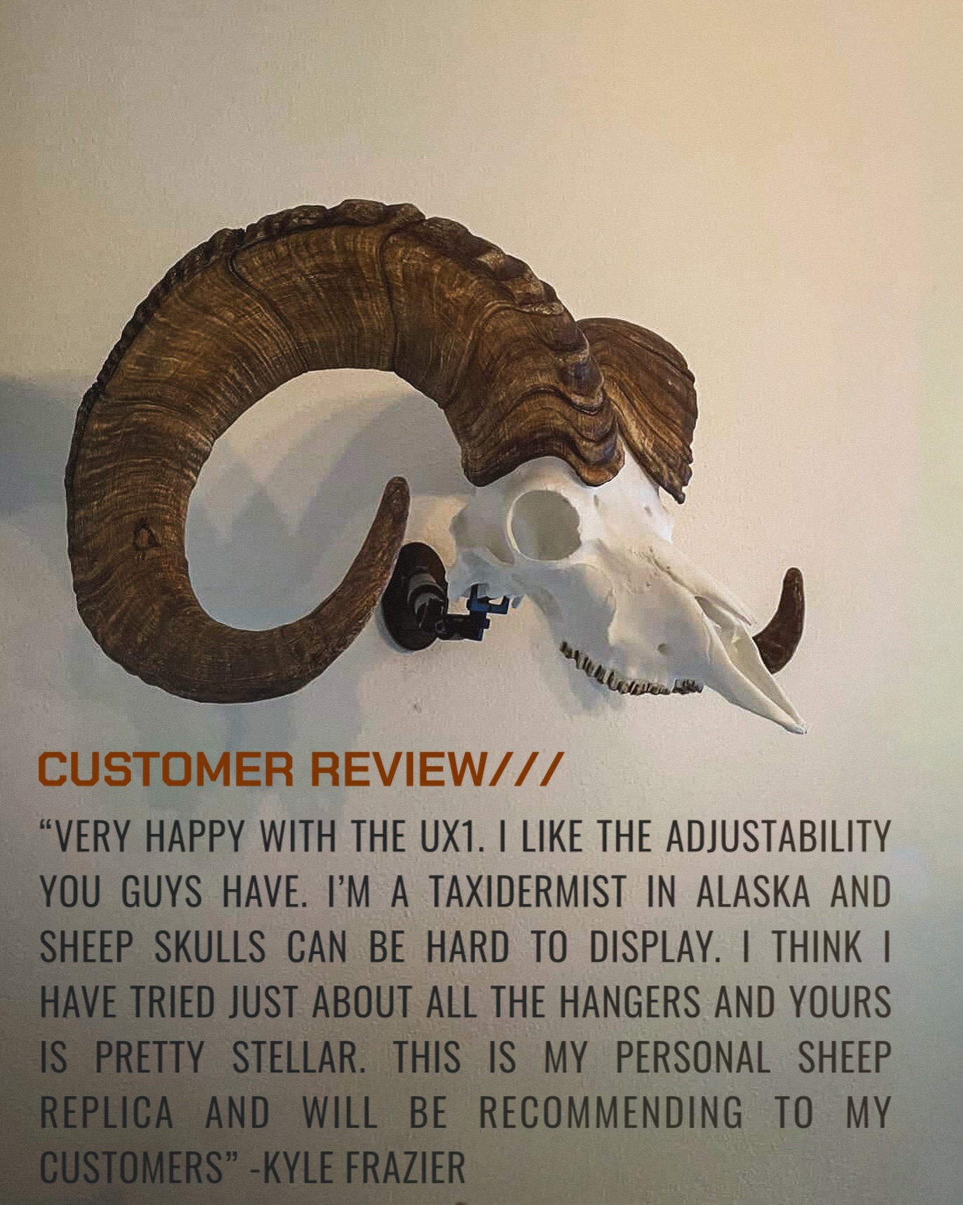 We have had tons of customers reach out askjng if our UX1 will work for sheep/rams. @kfray907 sent us some photos and had this to say about our UX1 Euro Wall Mounting System.
“Very happy with the UX1. I like the adjustability you guys have. I’m a taxidermist in Alaska and sheep skulls can be hard to display. I think I have tried just about all the hangers and yours is pretty stellar. This is my personal sheep replica and will be recommending to my customers.”
For those of you looking a better way of mounting your prized ram, we’ve got ya covered. We have another customer in the process of doing a special bighorn sheep project with our TX1 Tabletop and can’t wait to see it!
.
.
.
#uroadx #bighornsheep #euromount #taxidermy