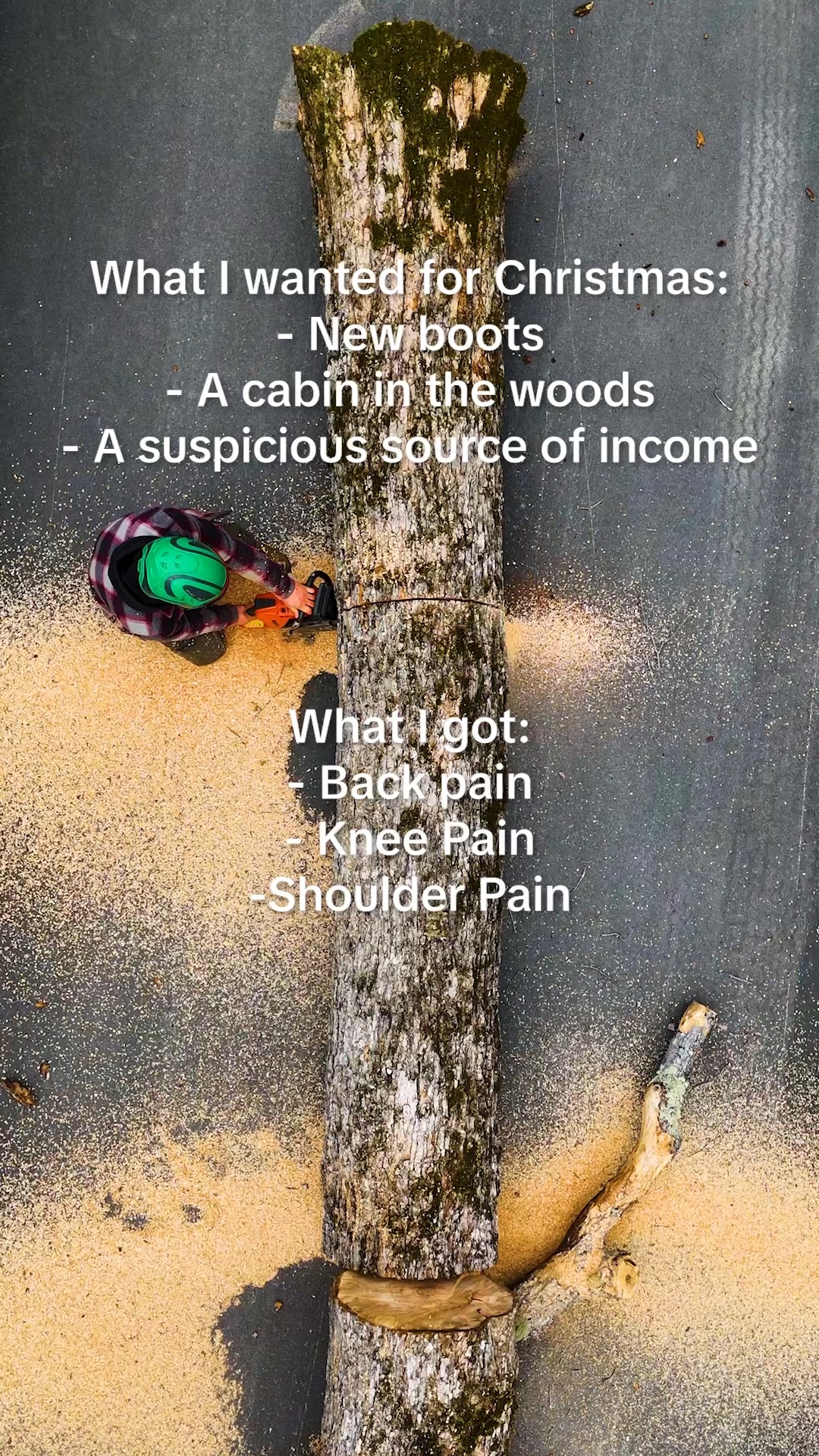 Merry Christmas! Hope you all get what you wanted 🎄
.
.
.
.
#belangertreecare #arborist #arboristsofinstagram #skowhegan #skowheganmaine #forestry #chainsaws #centralmaine #mainebusiness #treecare #treecarebusiness #treeclimbers #logging