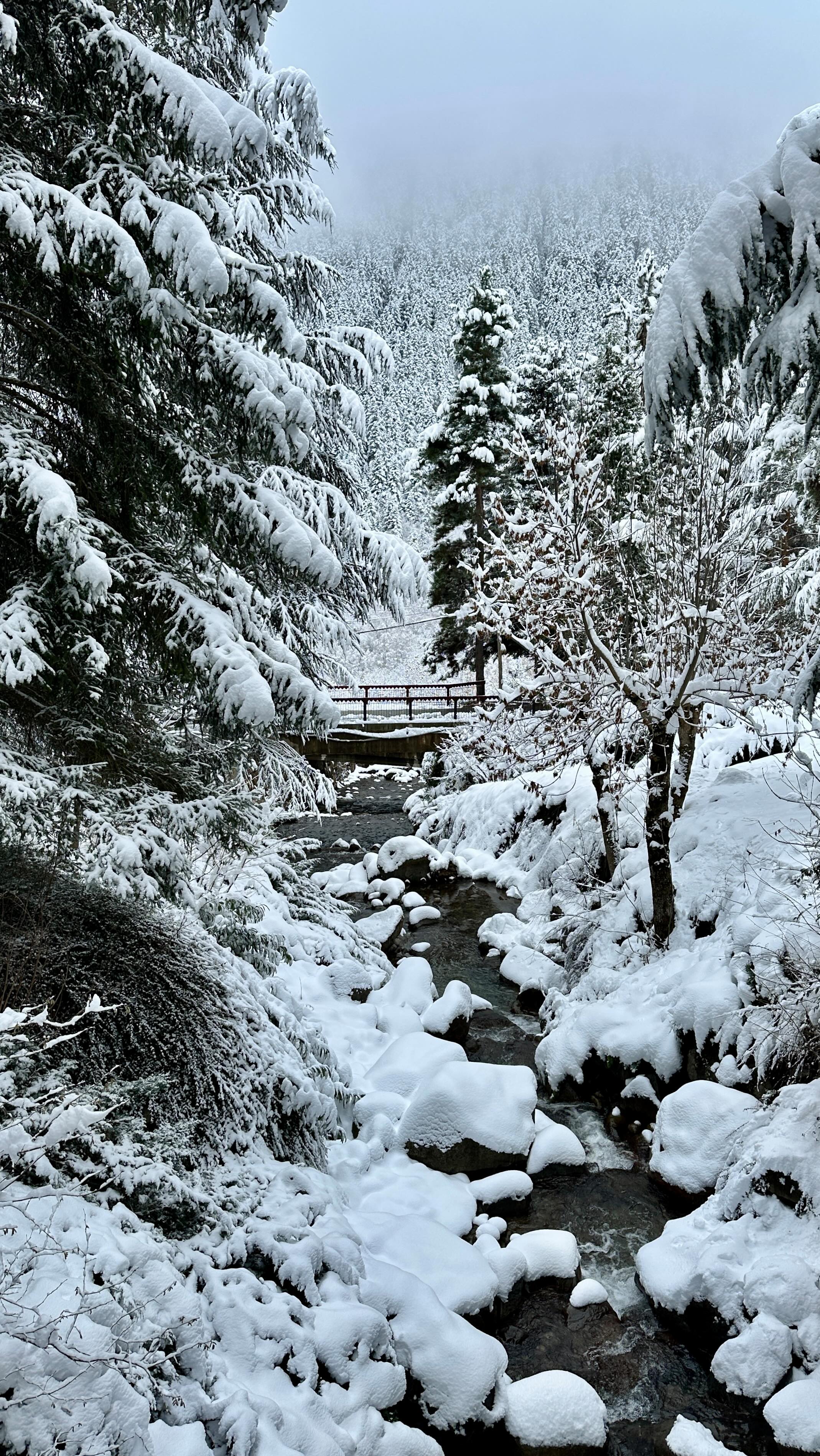 It’s beginning to look a lot like Christmas!
As the year draws to a close, we want to thank all of you - our clients, collaborators, and fellow garden lovers, for being part of our studio’s journey this year.
2025 has been a truly rewarding year, filled with incredible projects, inspiring collaborations and landscapes shaped with care, creativity and purpose. We feel incredibly grateful for the trust placed in our team and for the conversations, ideas and shared enthusiasm that continue to drive our work forward.
We’re now stepping away from the studio for a well earned break and will be back on 5 January 2026, refreshed and looking ahead to the year to come.
Wishing you all a peaceful Christmas and a very happy New Year.
From the whole team at Joe Perkins Design
⸻
ABOUT: Joe Perkins Design is a multi-award-winning landscape design consultancy, creating innovative outdoor spaces that celebrate the environment, wildlife, and biodiversity. Working across the UK and internationally, we partner with clients who share our passion for sustainable and visionary design. Discover more about our work at: www.joeperkinsdesign.com