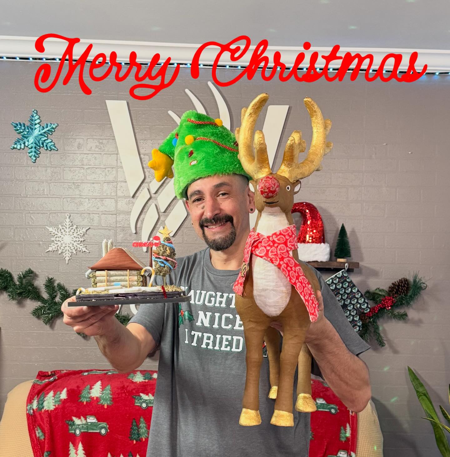 I hope everyone has a wonderful Holiday! Merry Christmas 🎄