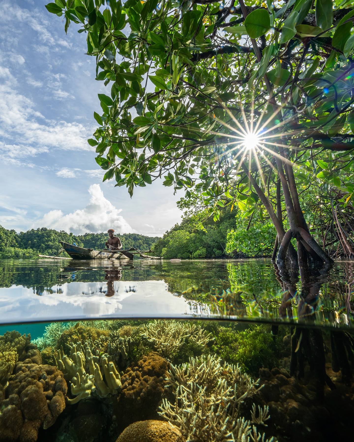I’m headed back to the vibrant and diverse reefs of West Papua in March and we have a few spots remaining!
Setting off from Kaimana and arriving in Sorong and exploring as much as we can inbetween! Without a doubt it will be an unforgettable experience!
We will be cruising onboard the incredible @ilike_liveaboard_indonesia
If you’re interested in more info send me a DM with your email and I can share our trip brochure!
#westpapua #diving #rajaampat #tritonbay #nature #wildlife #photography #underwaterphotography
