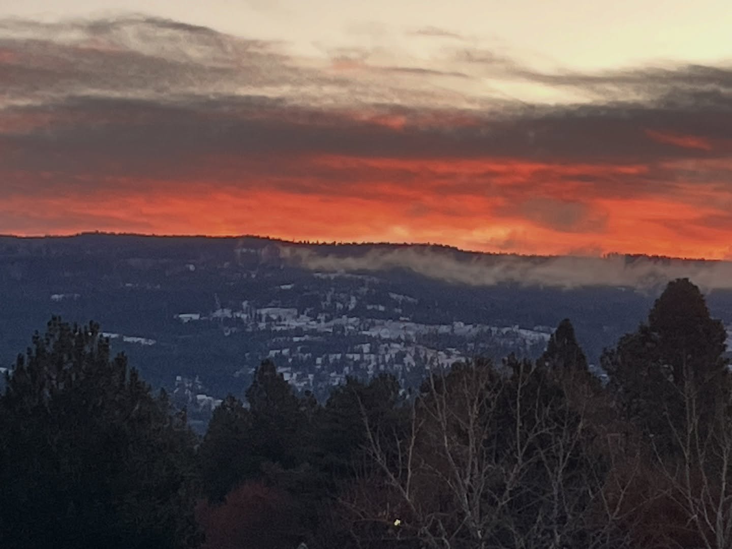 Happy WINTER SOLSTICE
It happens in a moment— this tiny, imperceptible turning when all at once the night ceases its imperial advance and the next morning promises to dawn just a sigh earlier than the one before.
The world still goes on dying
around it, and trying to keep itself alive.
This is not yet the spring.
But huddled in their dens, their nests, their thick forest groves, the creatures of the world put all their wordless faith in this quiet shift, dreaming songs of hope that maybe, even now, it's already happened. #solstice #happyyule😘🎄🌺🍰🎄🍾🍸🎄